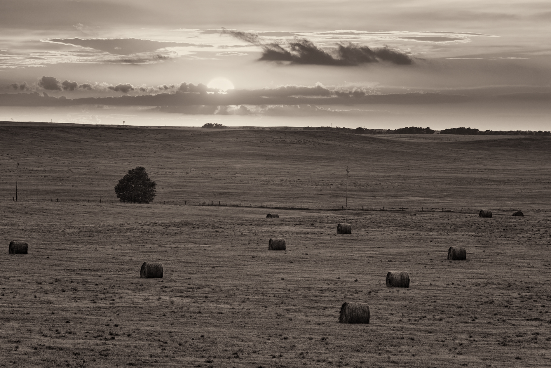 Rosebud Bales II
