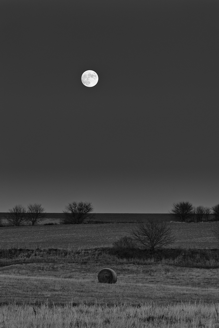 Roundabout Decisions