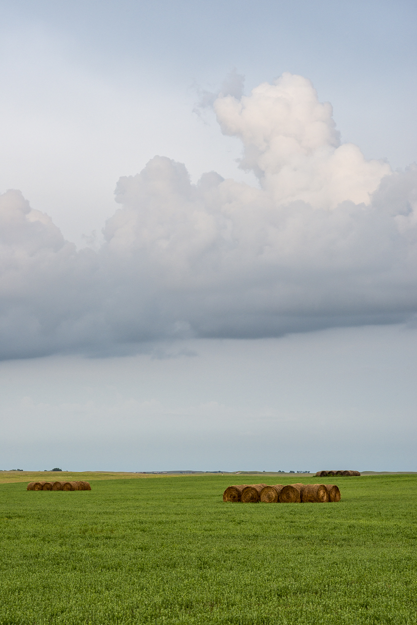 Rounded Up the Hay II