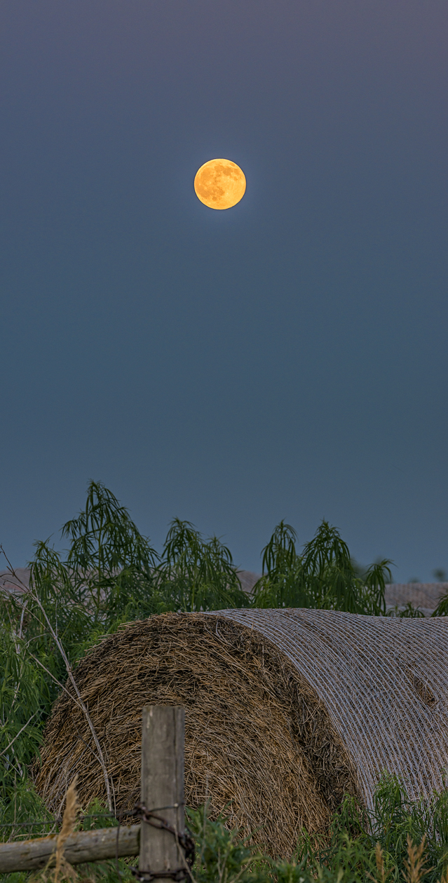 Rounding Out the Day II