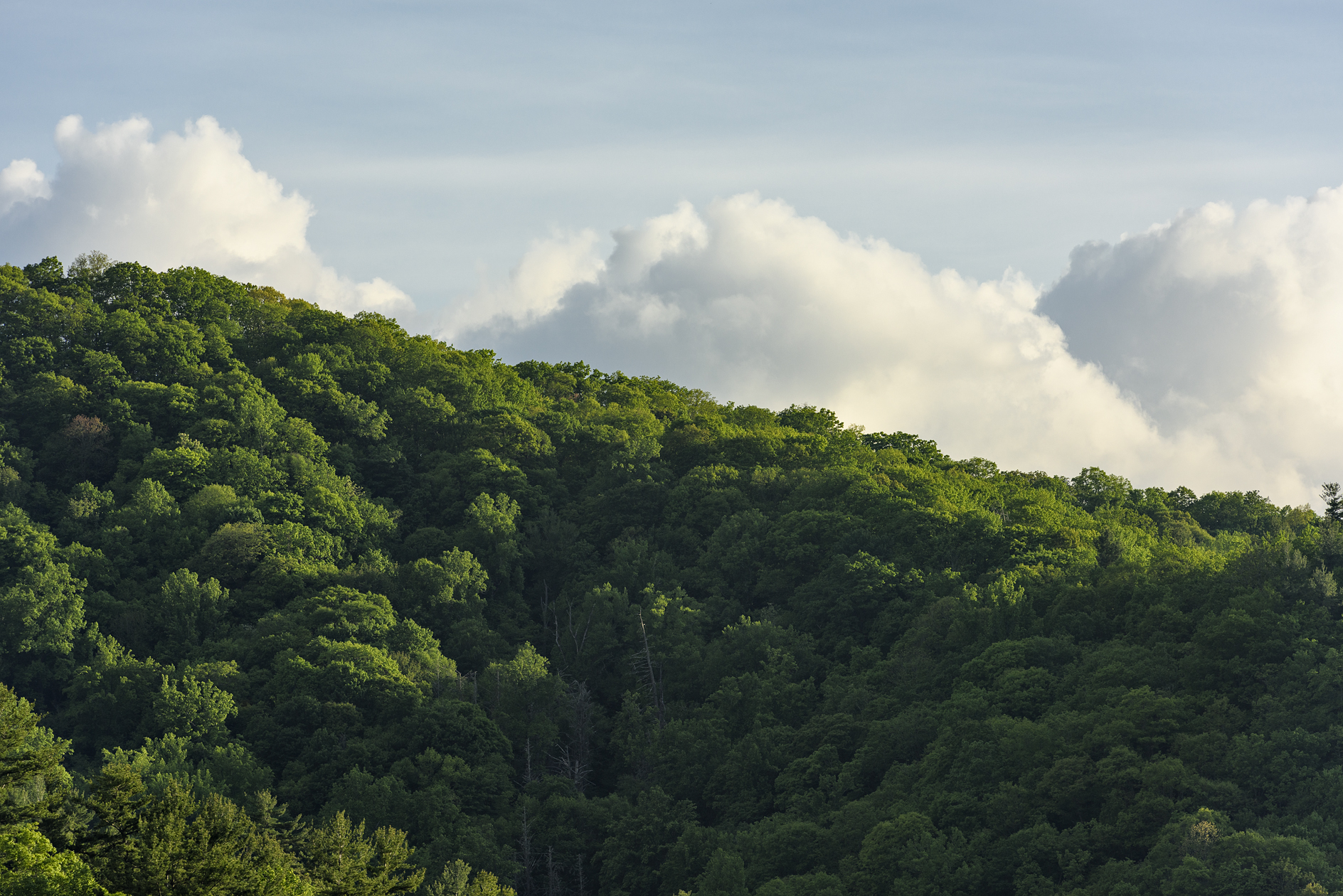 Rumble Over the Ridge