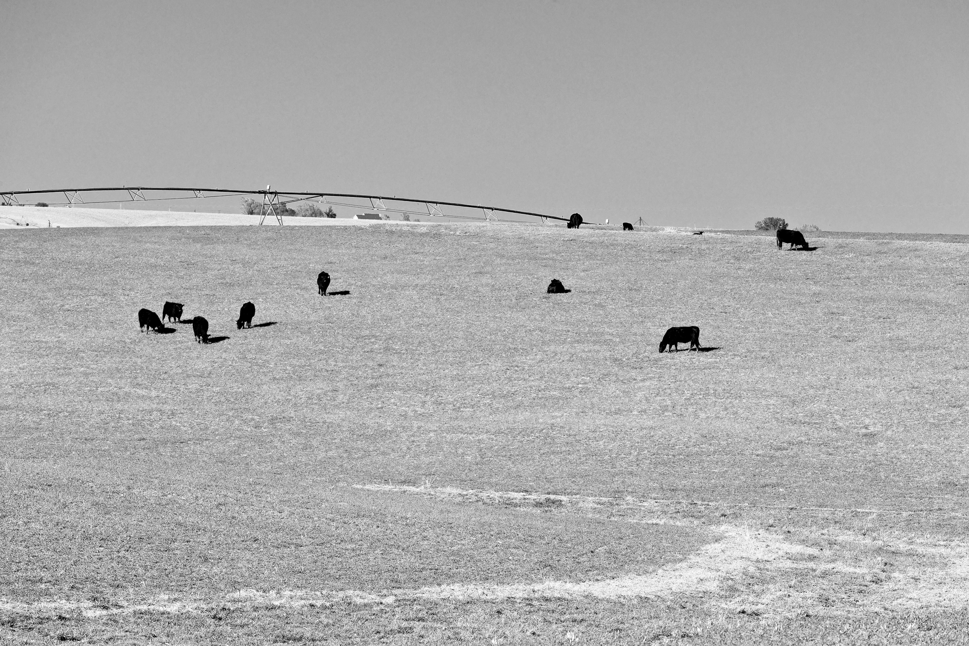 Rural Bed and Breakfast