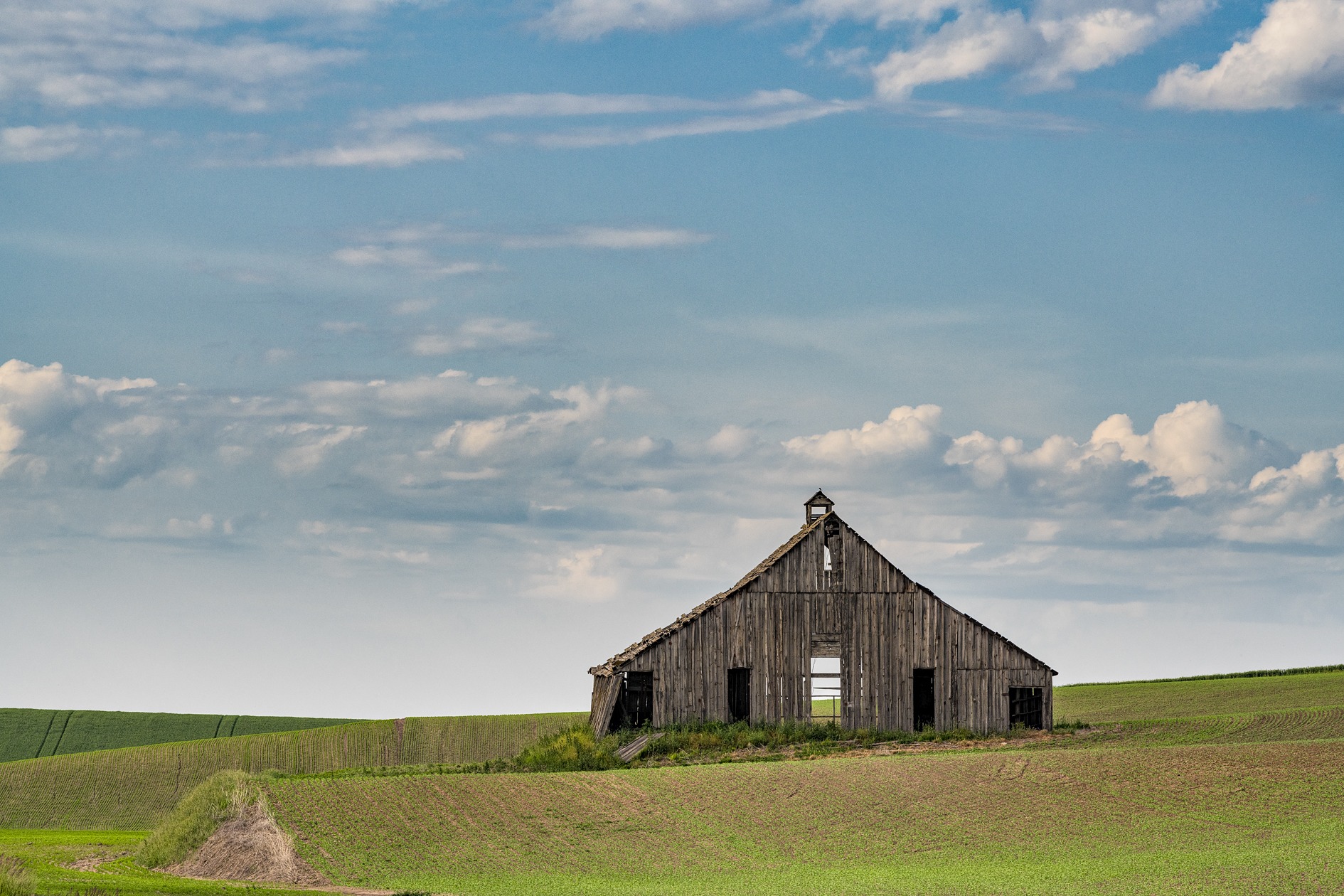 Rustic Barn Evening