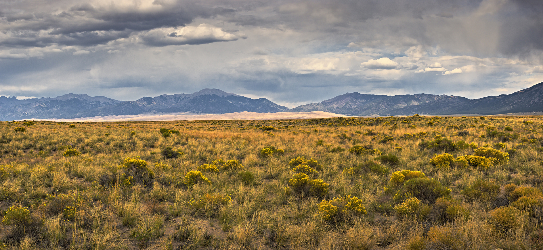 Sage and Dunes