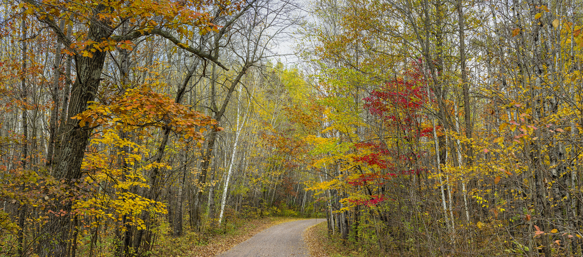Saint Croix Afternoon