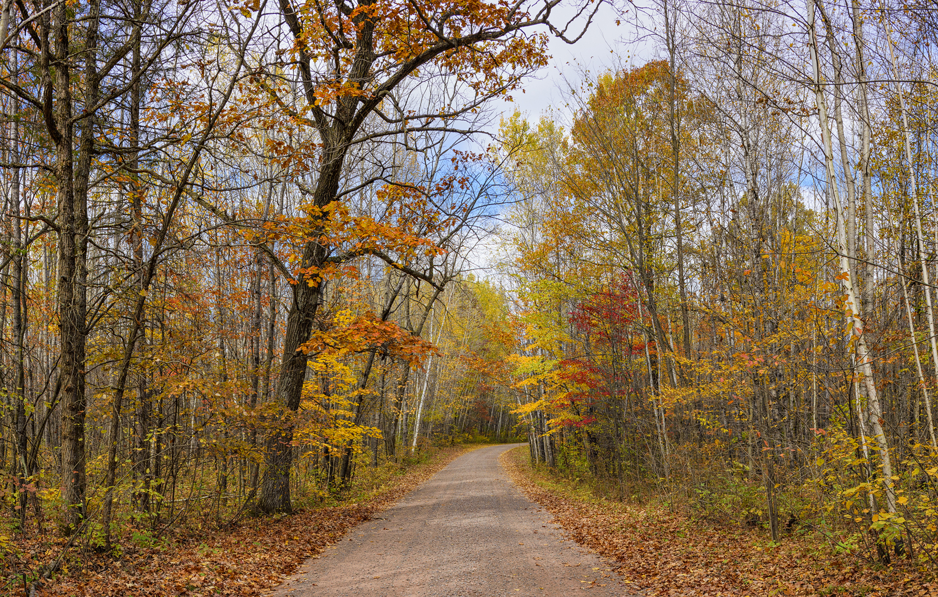 Saint Croix Afternoon III