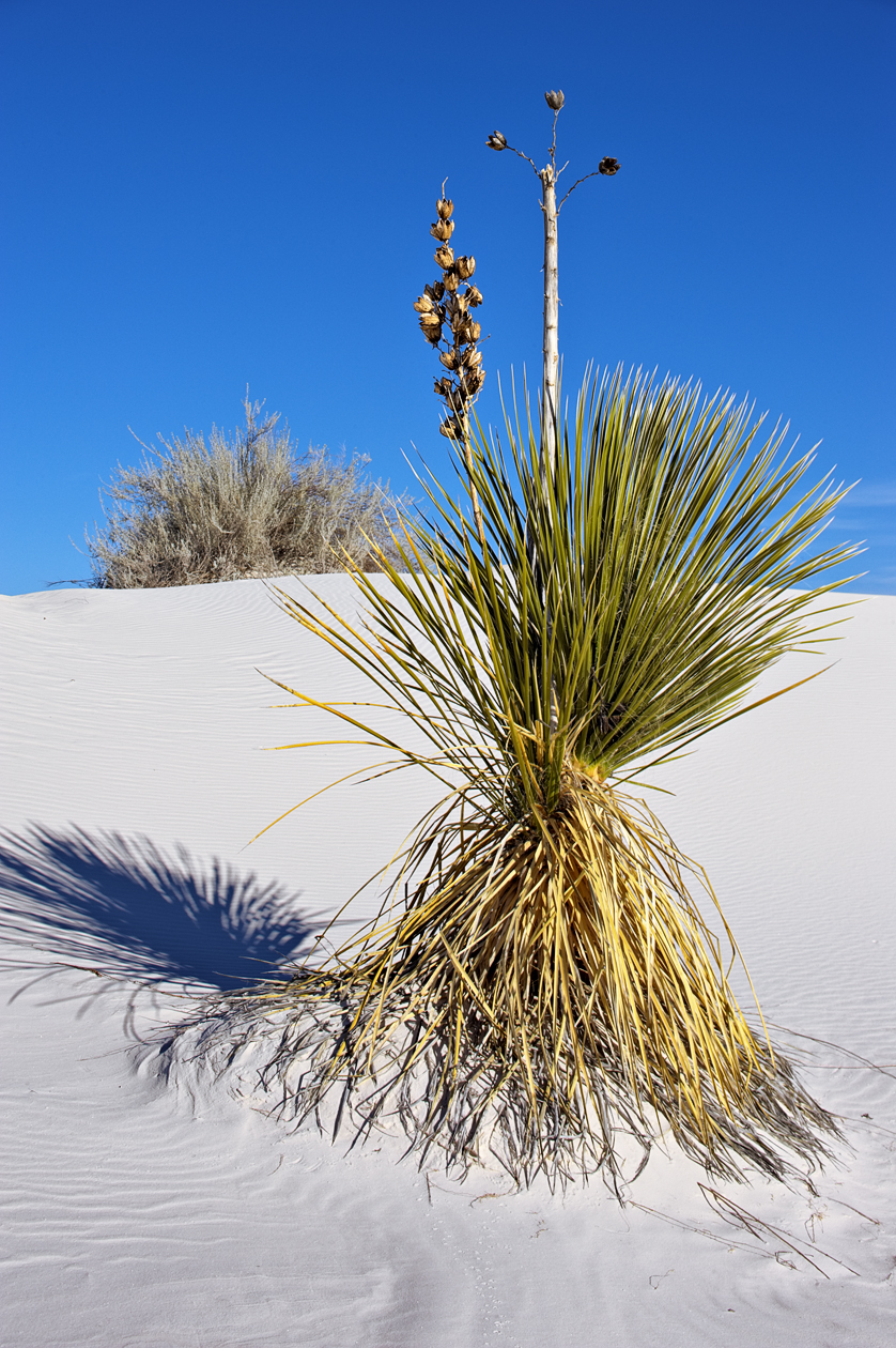 Sand through the Hourglass