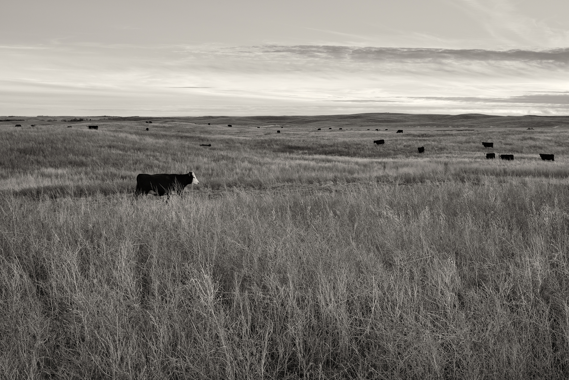 Sandhills Social Hour