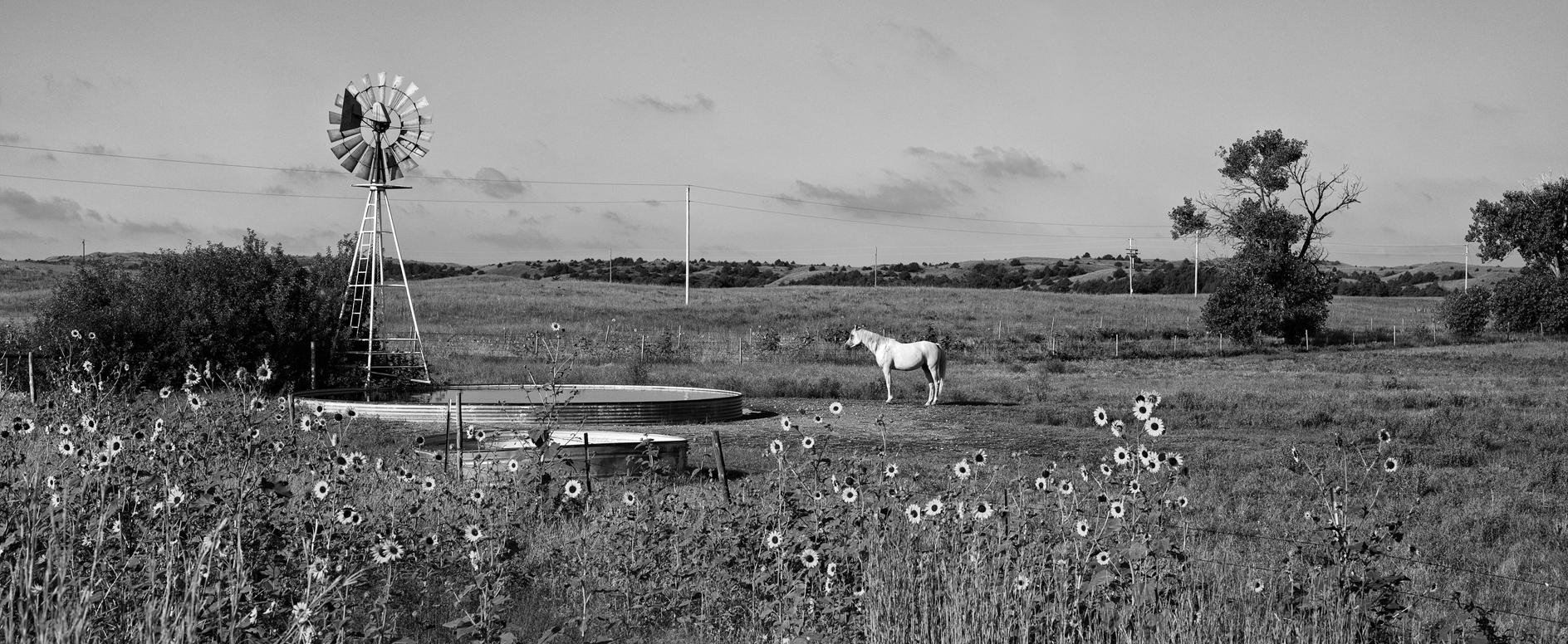 Sandhills Wishing Well