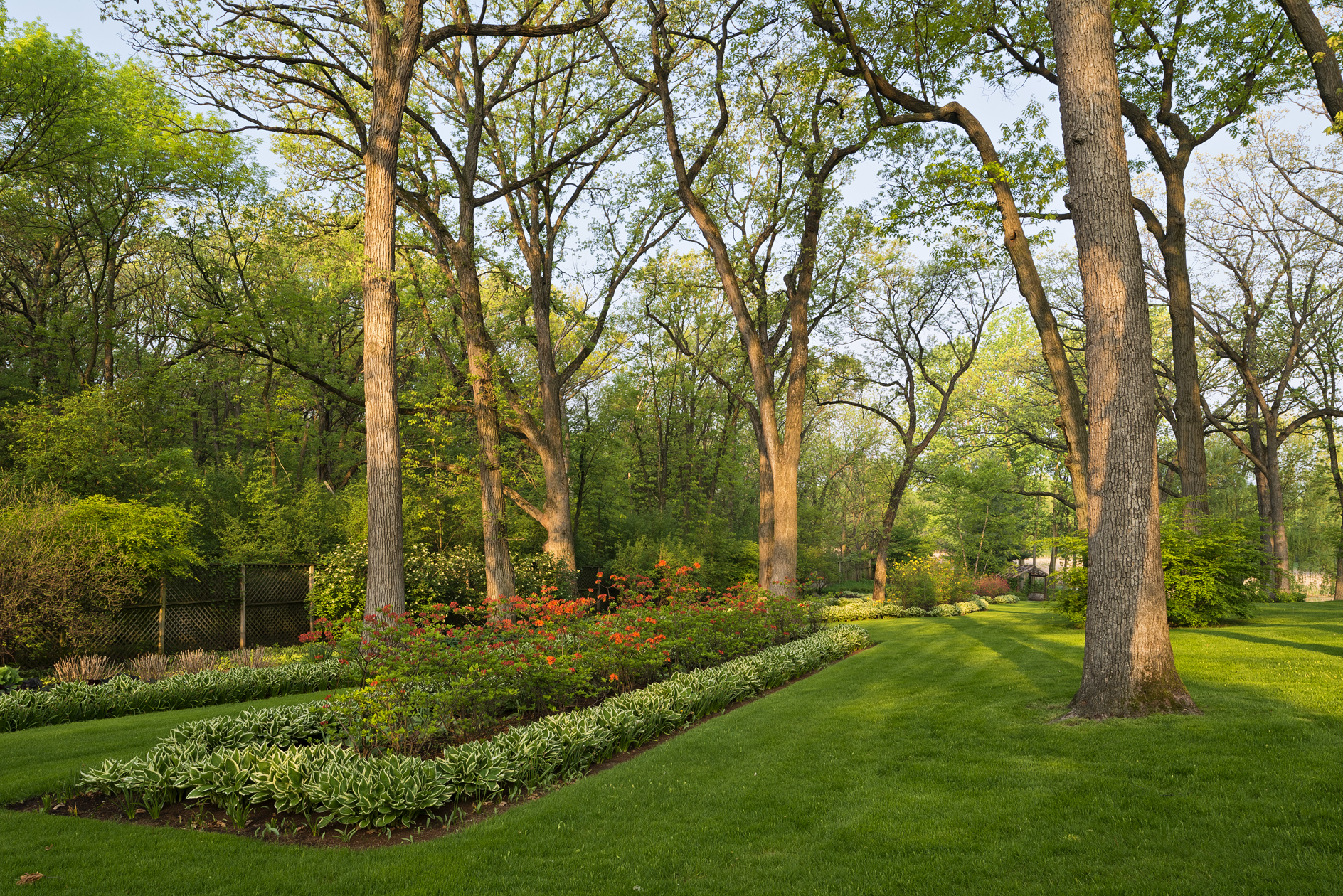 Saturday Morning Pick Me Up