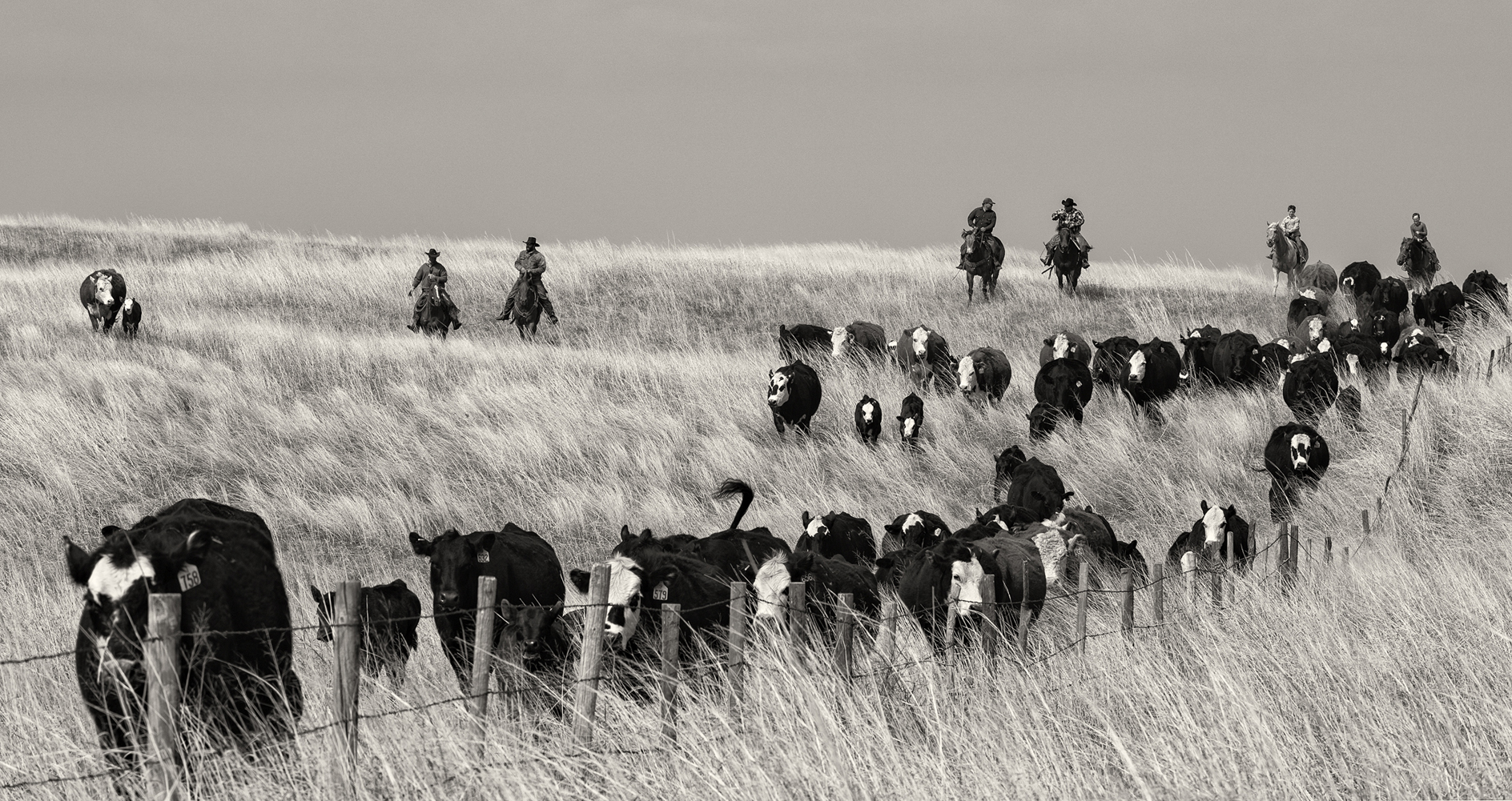 Saturdays in the Saddle