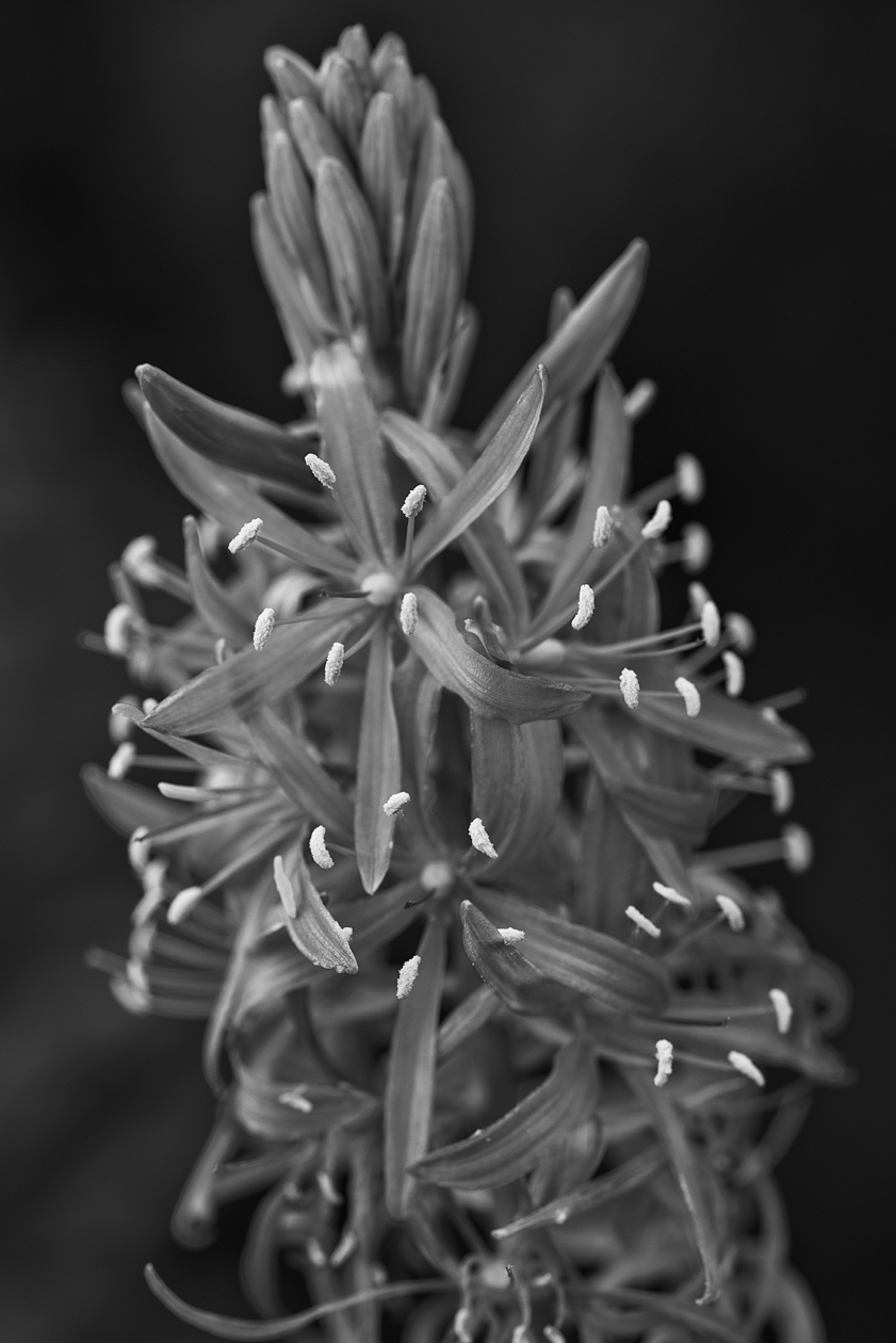 Savoring the Details