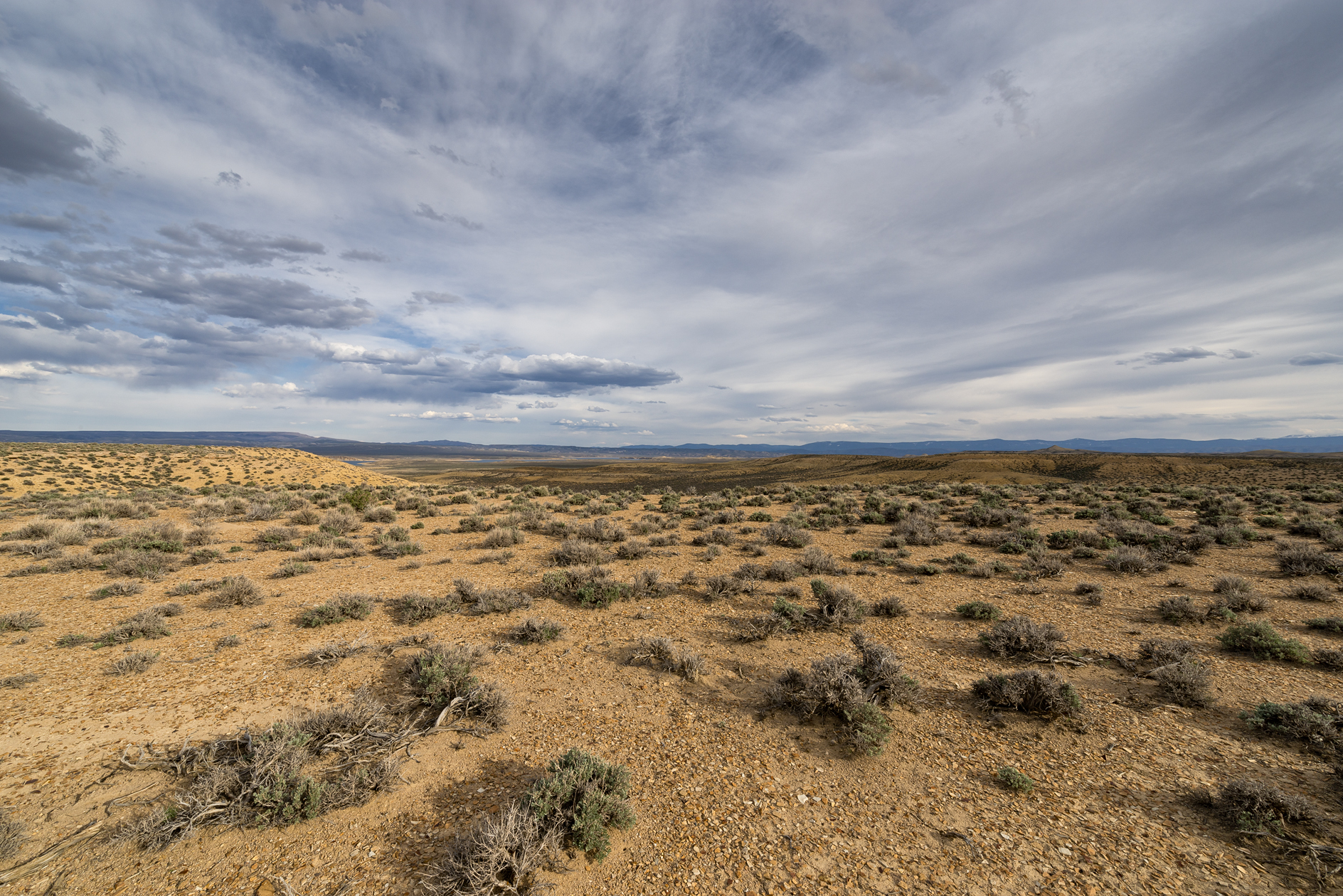 Scattered Opportunities