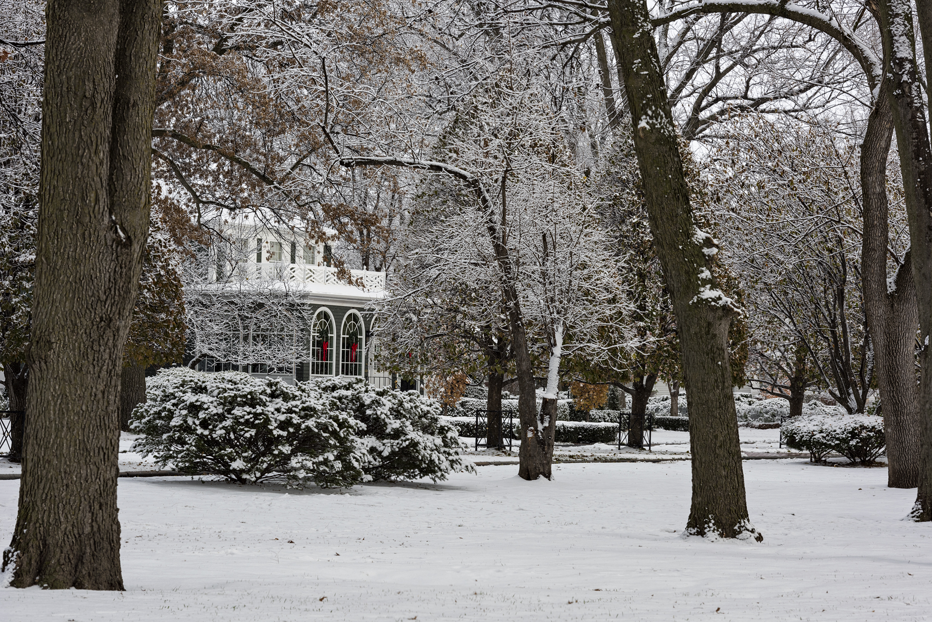 Seasonal Appearances