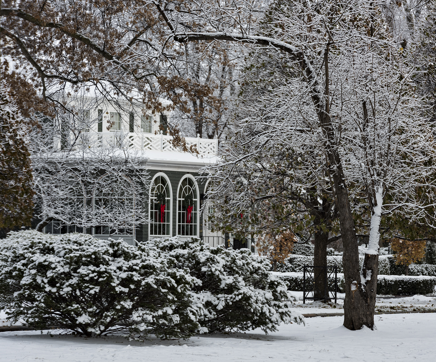 Seasonal Appearances II