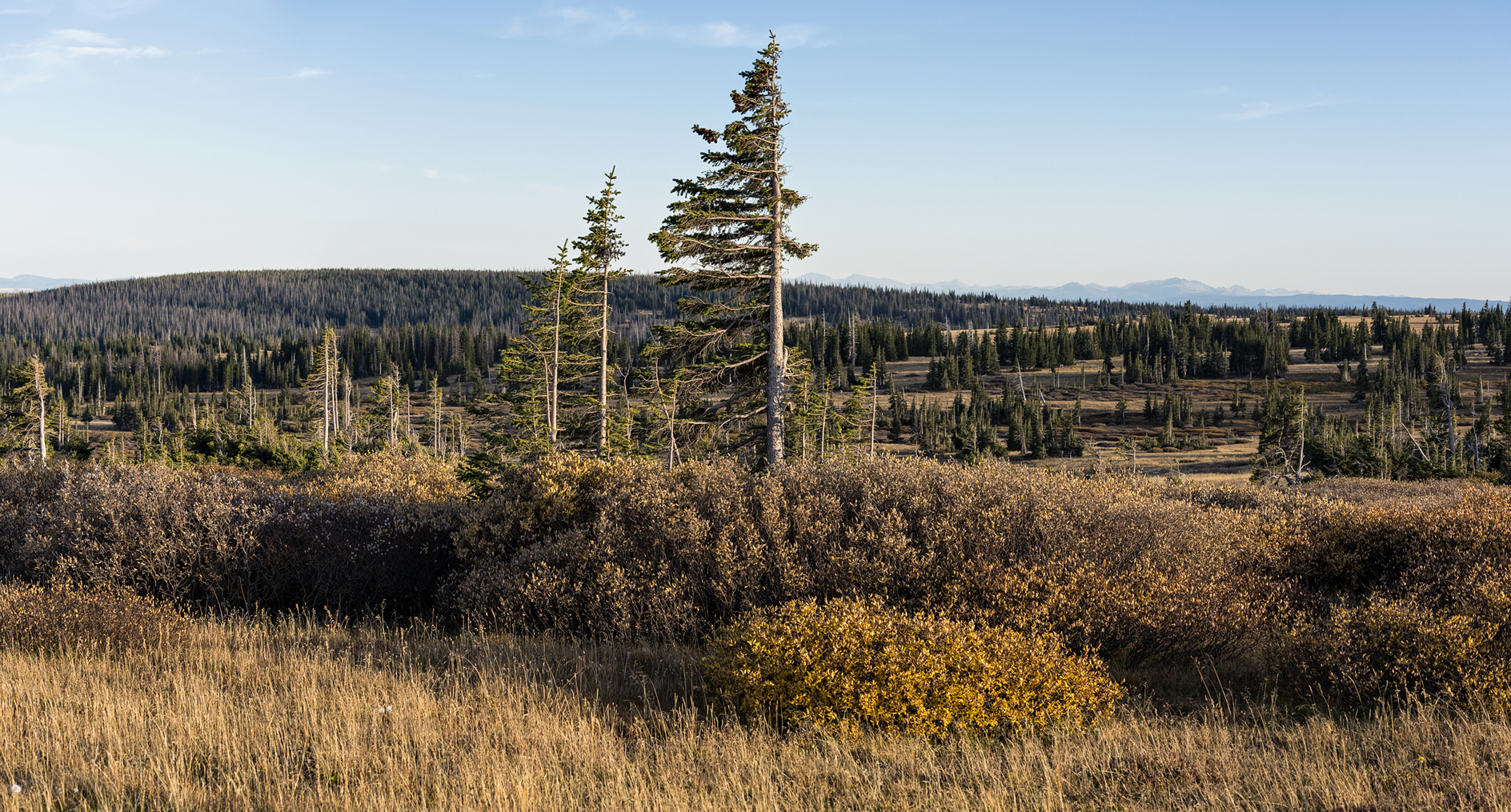 Seeing Which Way the Wind Blows II