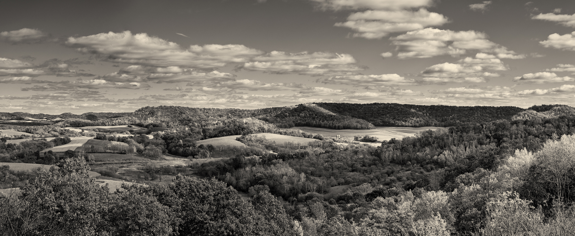 Shadows on the Dell II