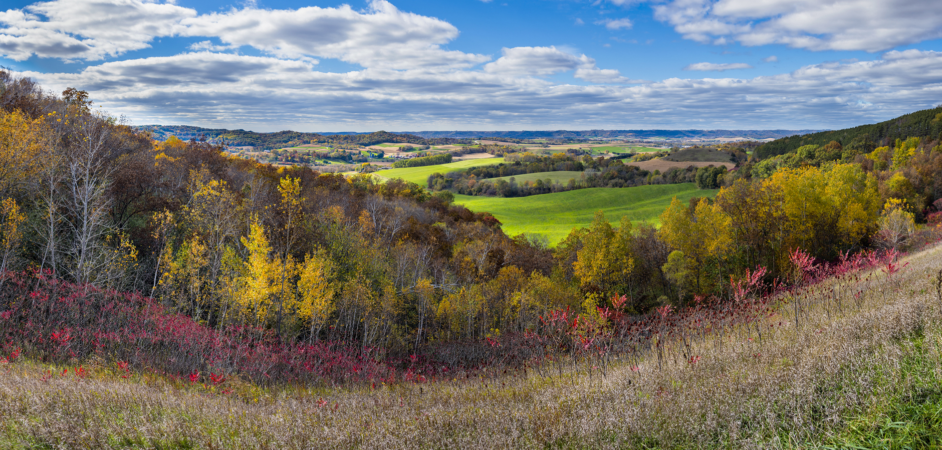 Shadows on the Dell III