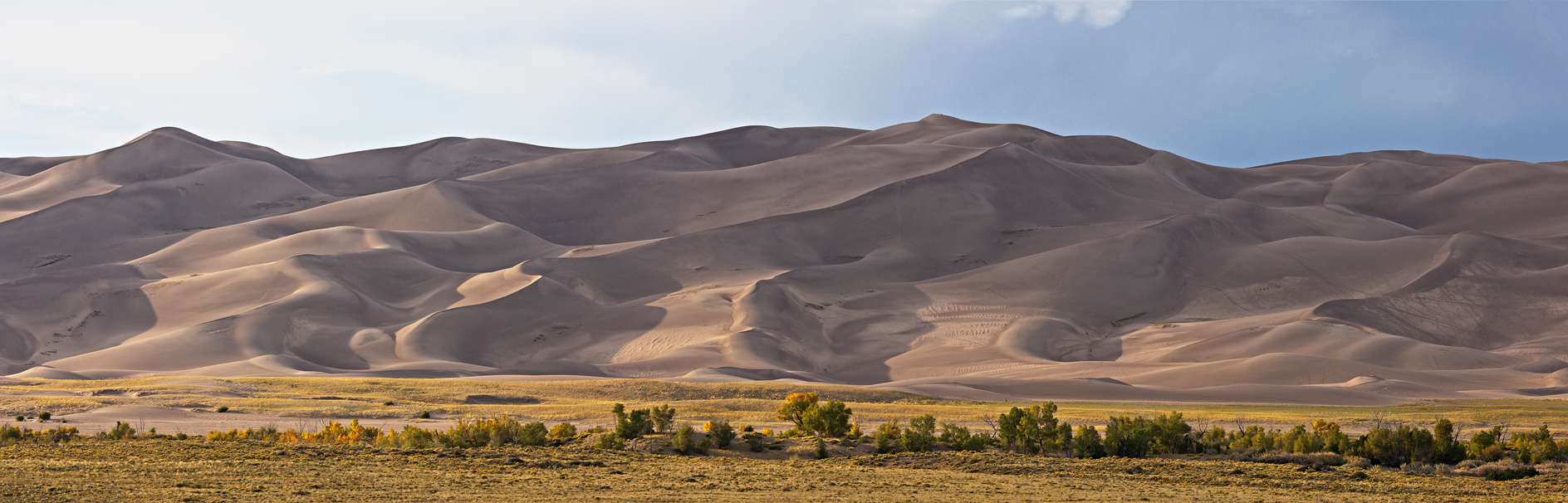 Shadows on the Dunes