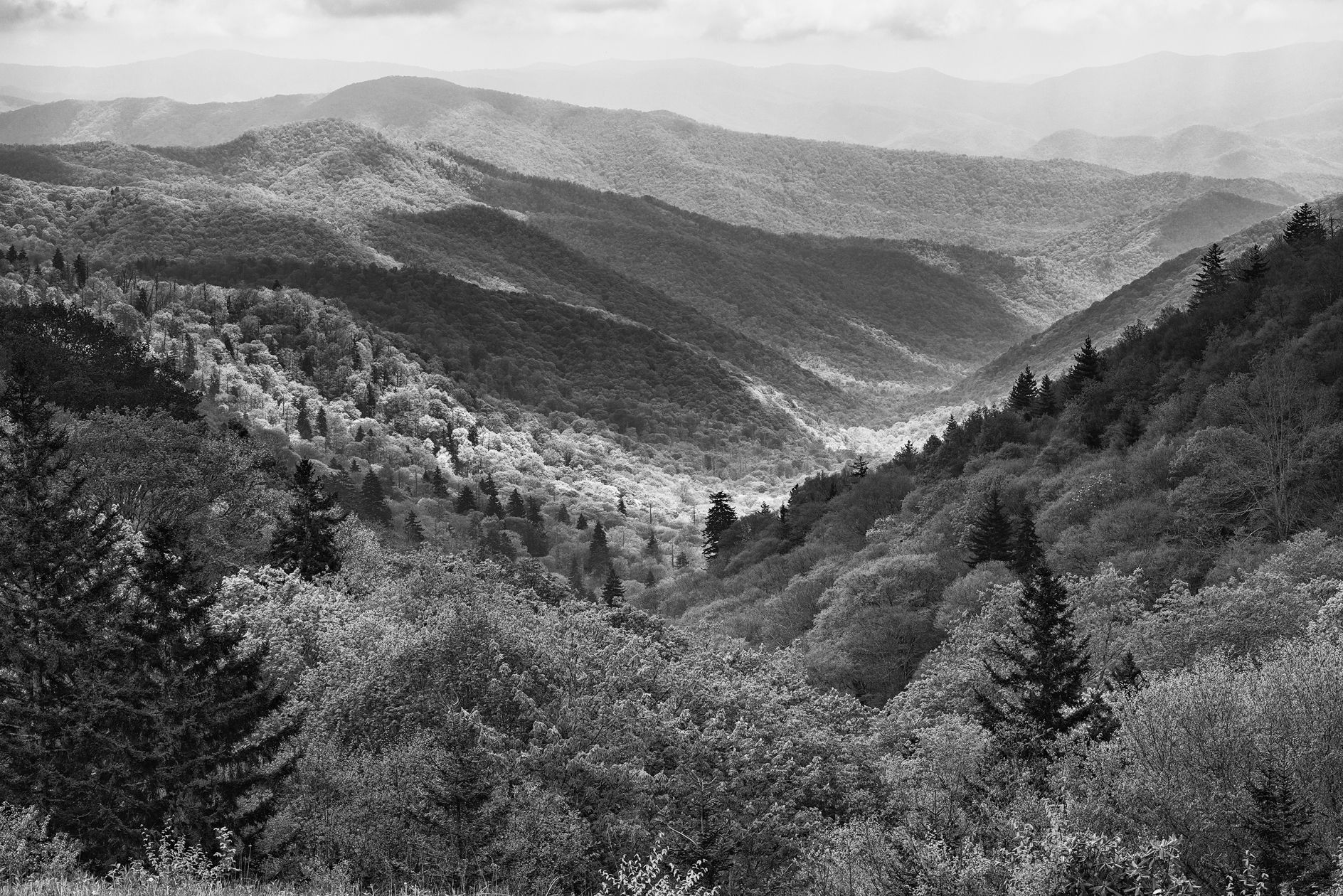 Shadows on the Mountain