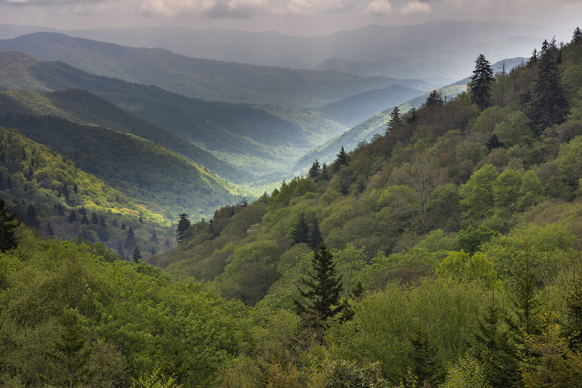 Shadows on the Mountain II