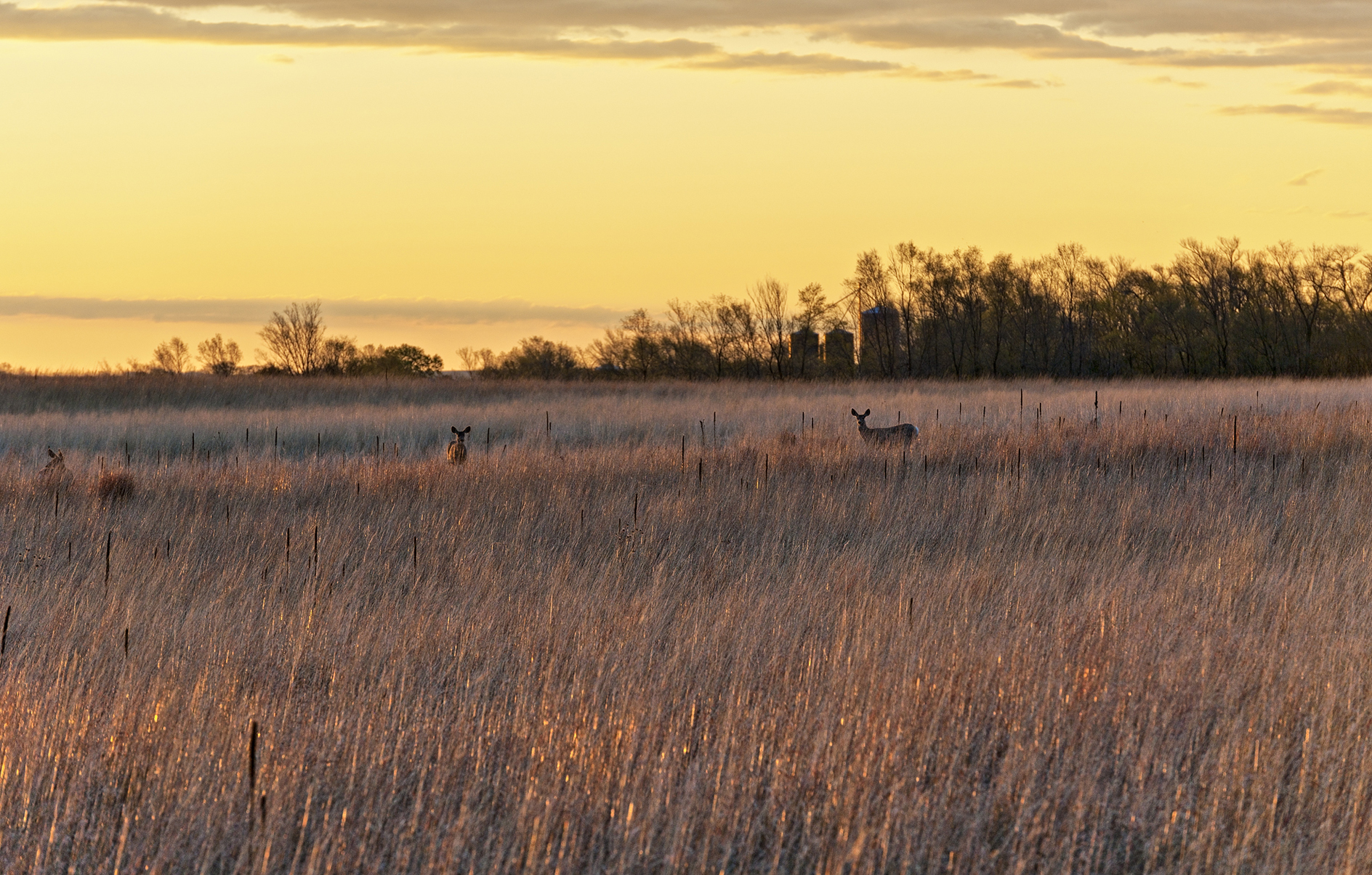 Sharing a Golden Moment