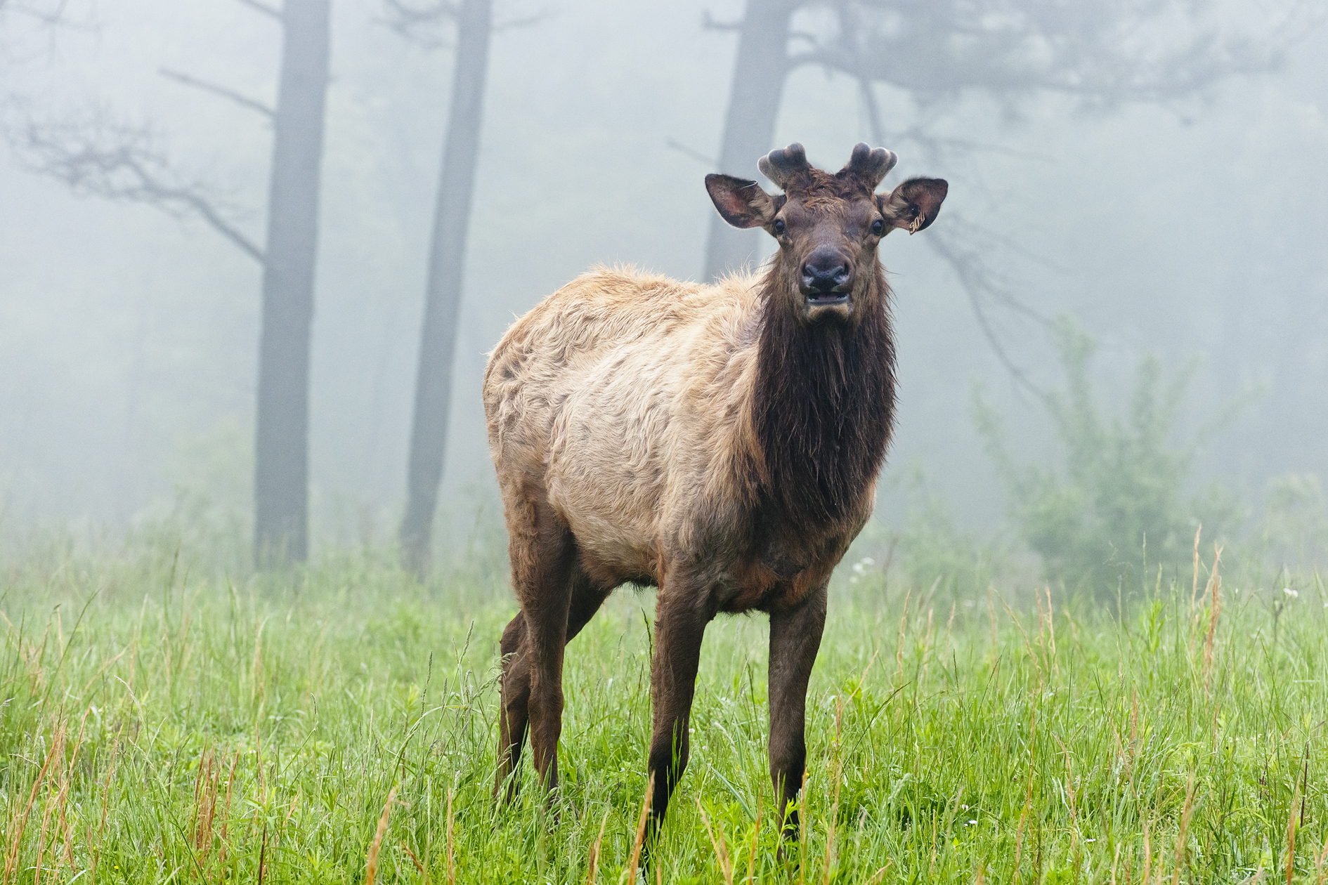 Sharing a Table with Strangers