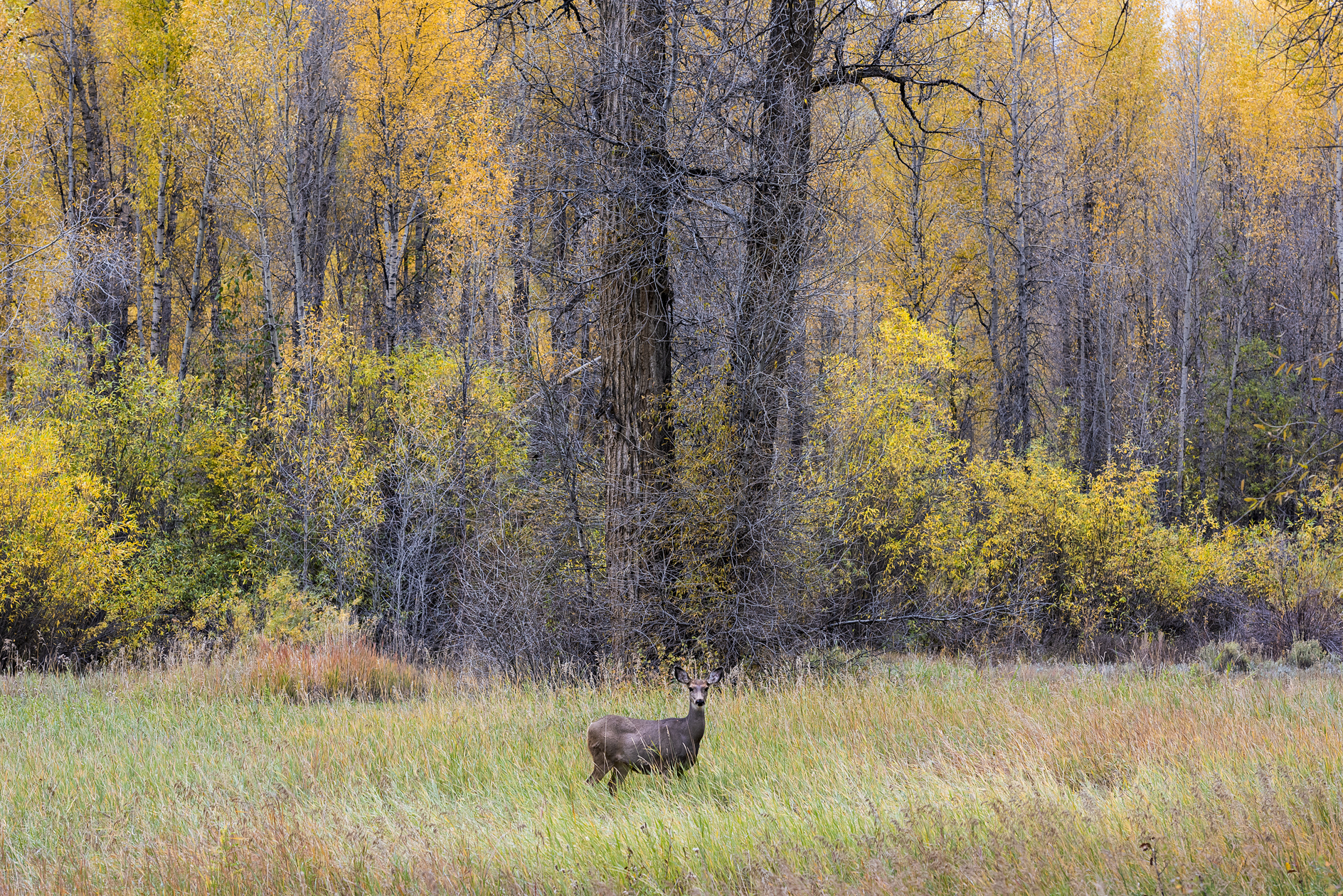 Sharing an Autumn Moment