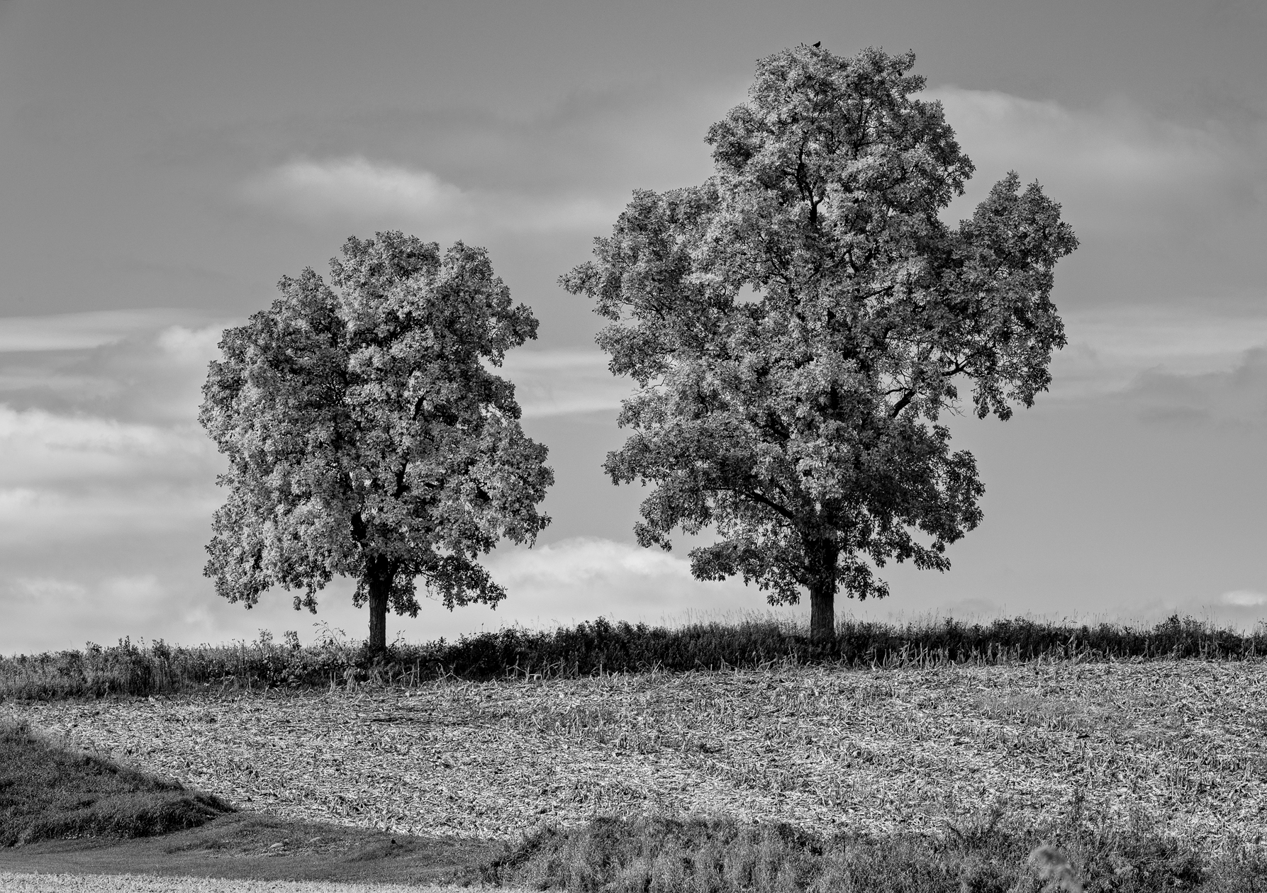 Sheboygan County Afternoon