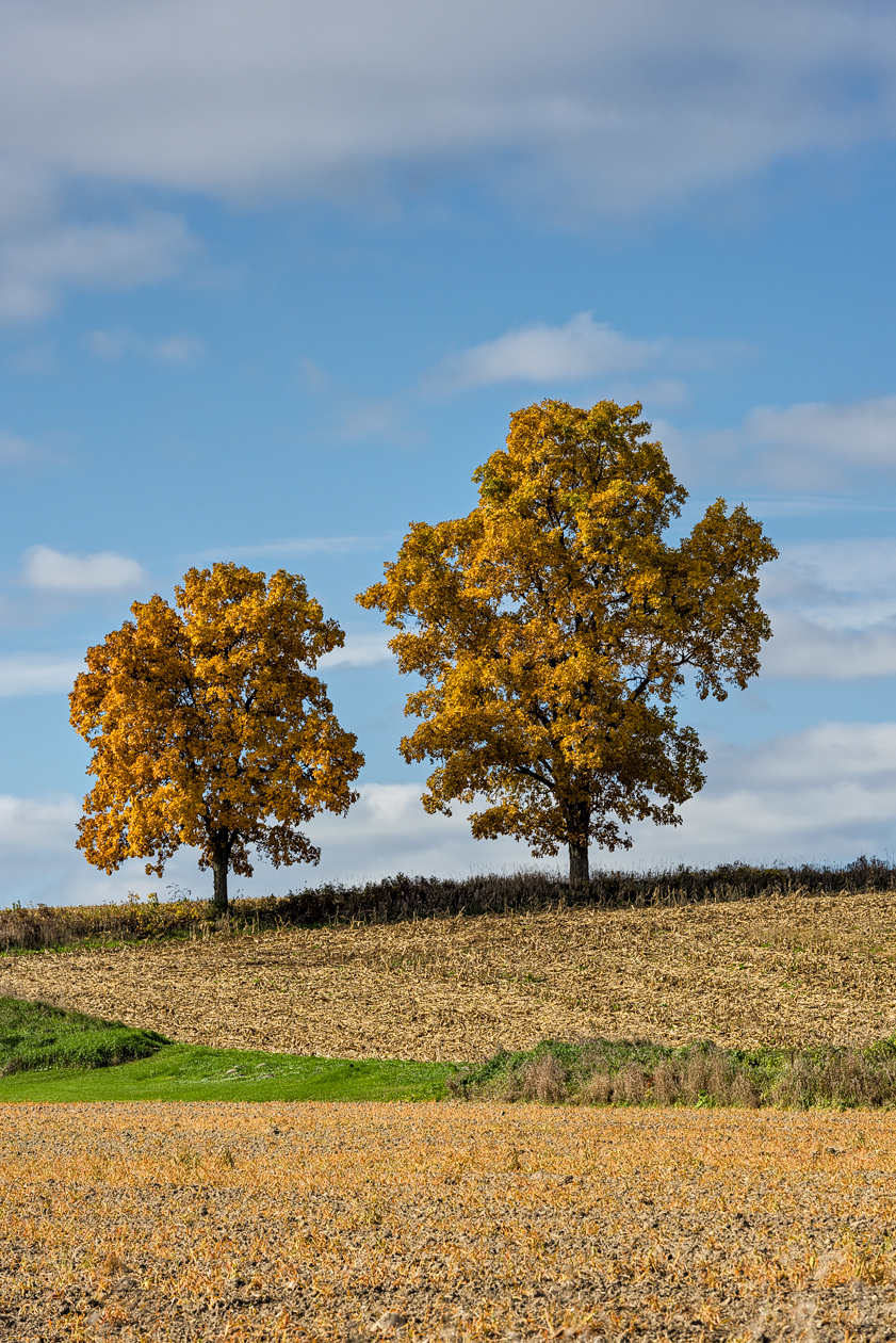 Sheboygan County Afternoon III
