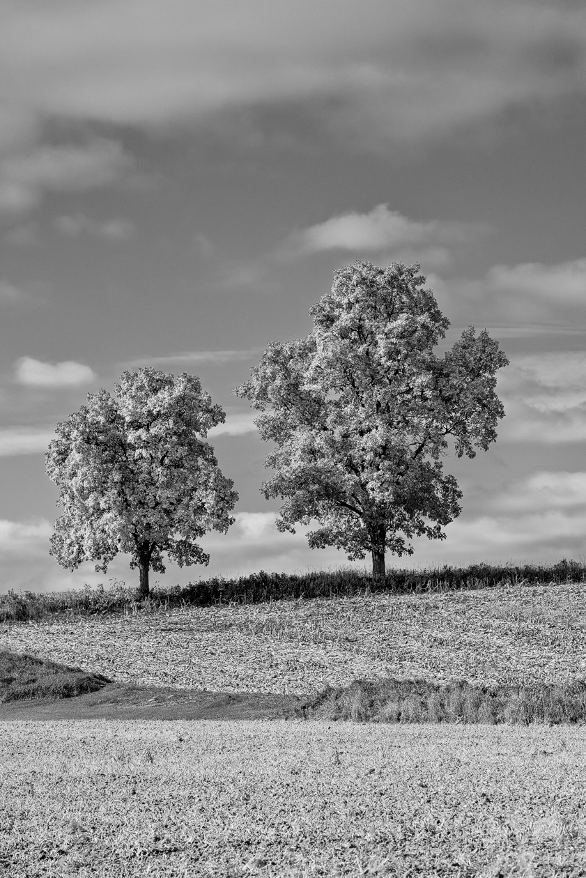 Sheboygan County Afternoon IV