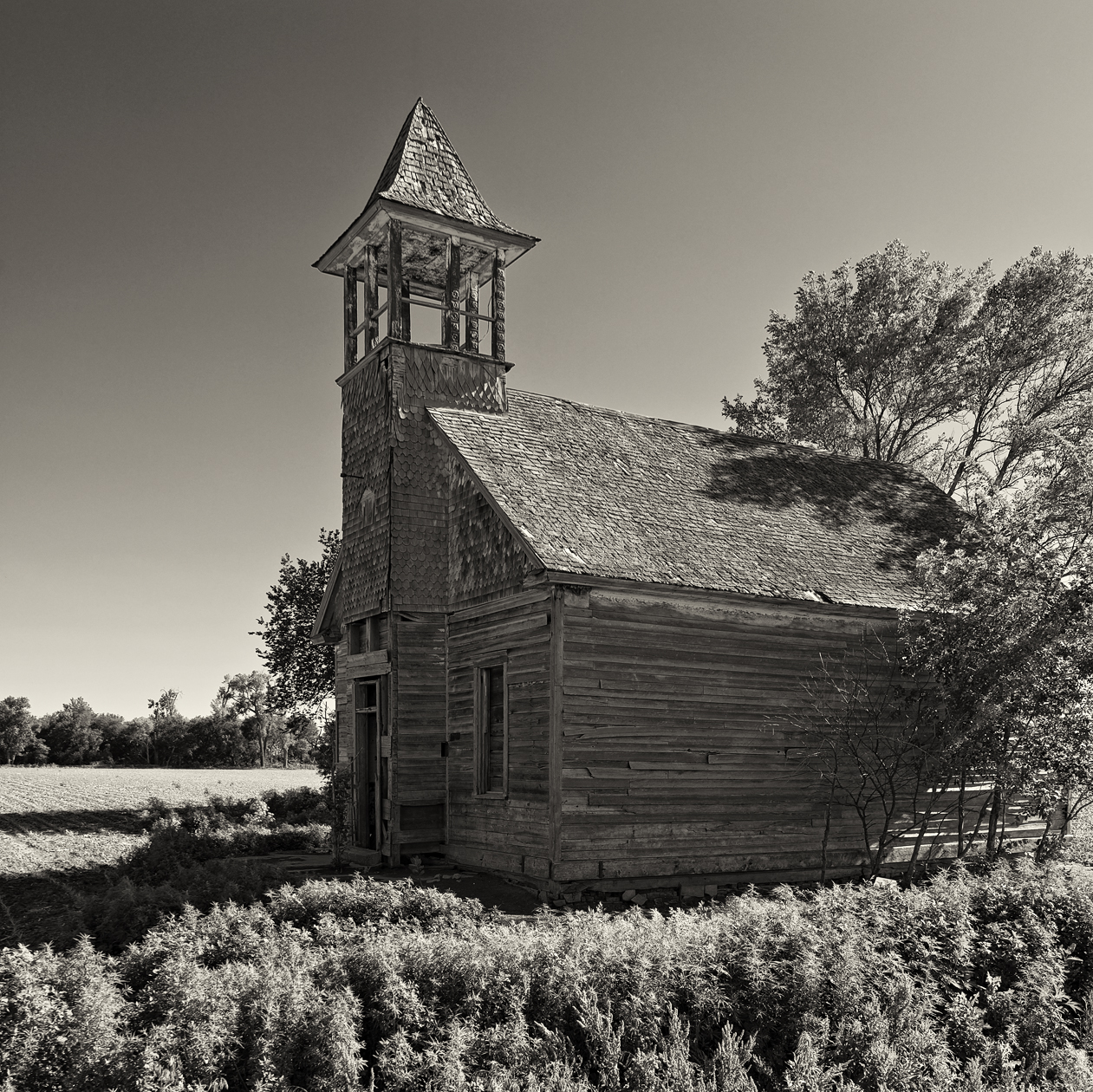 Shepherd Without a Flock