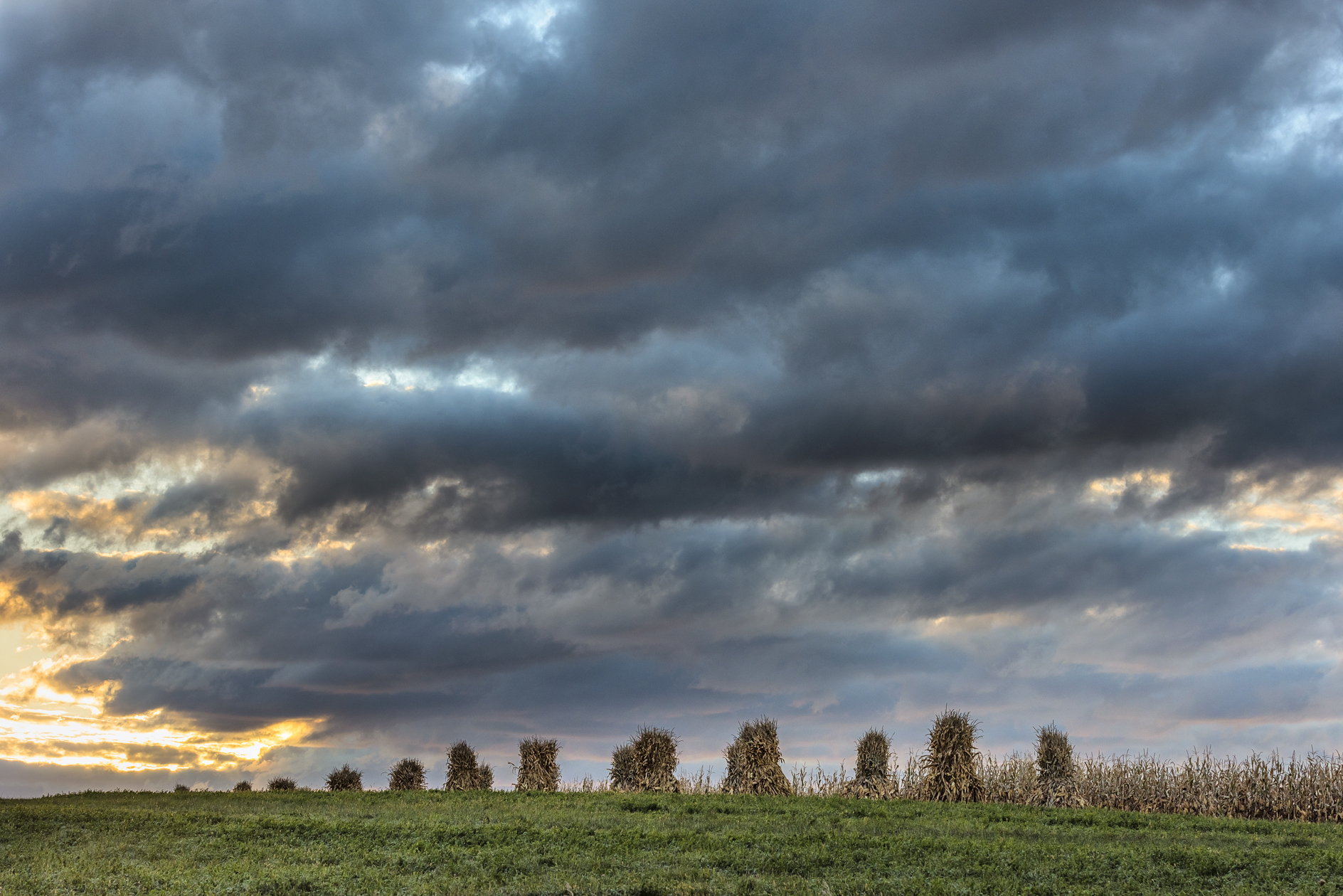 Shocking Discovery II