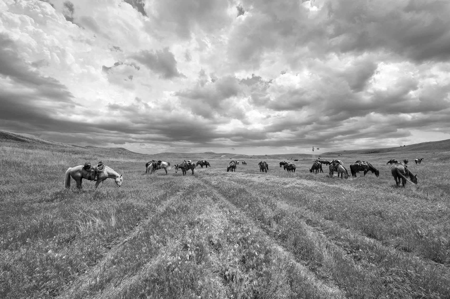 Shortening the Tall Grass