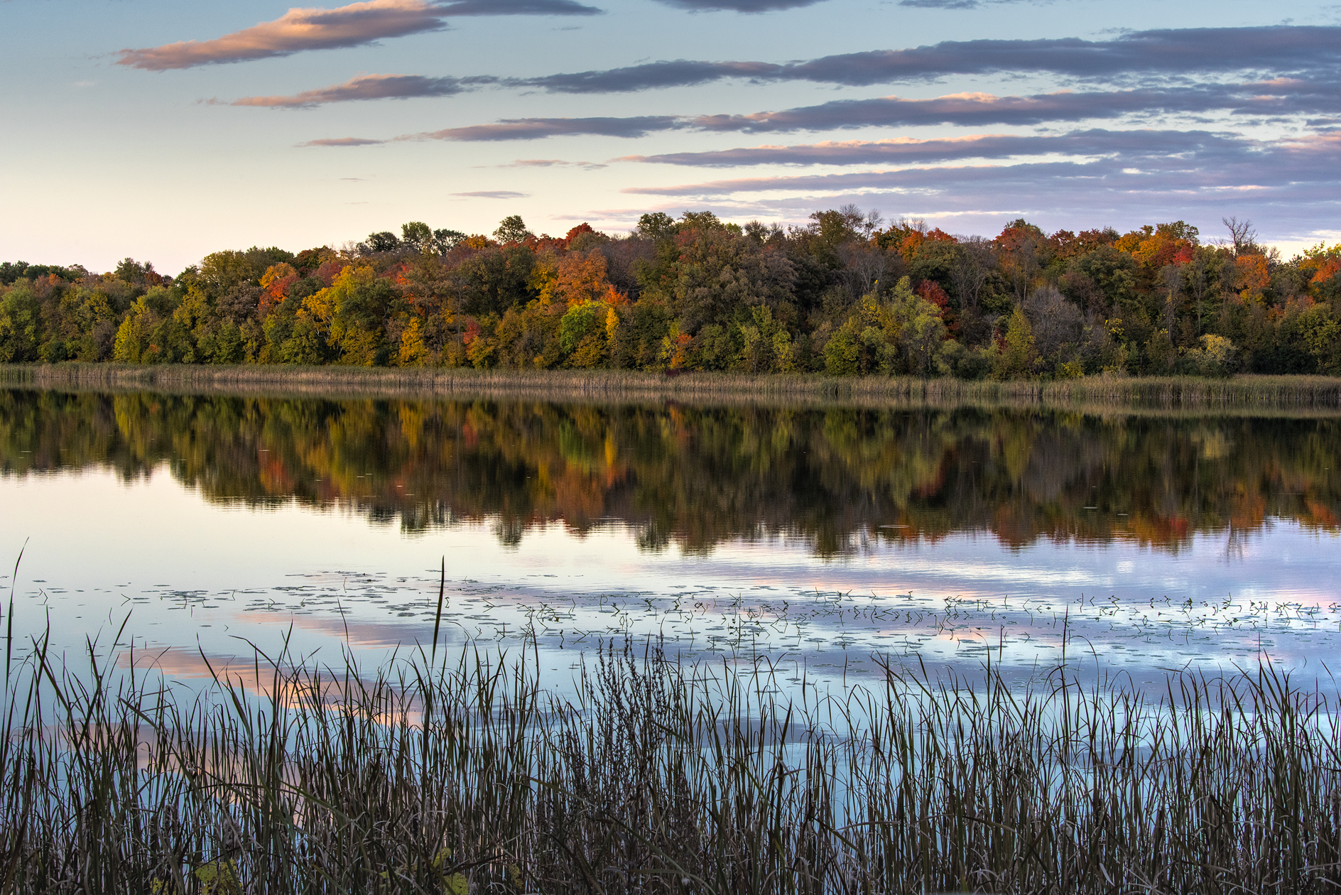 Silver Lake Evening II