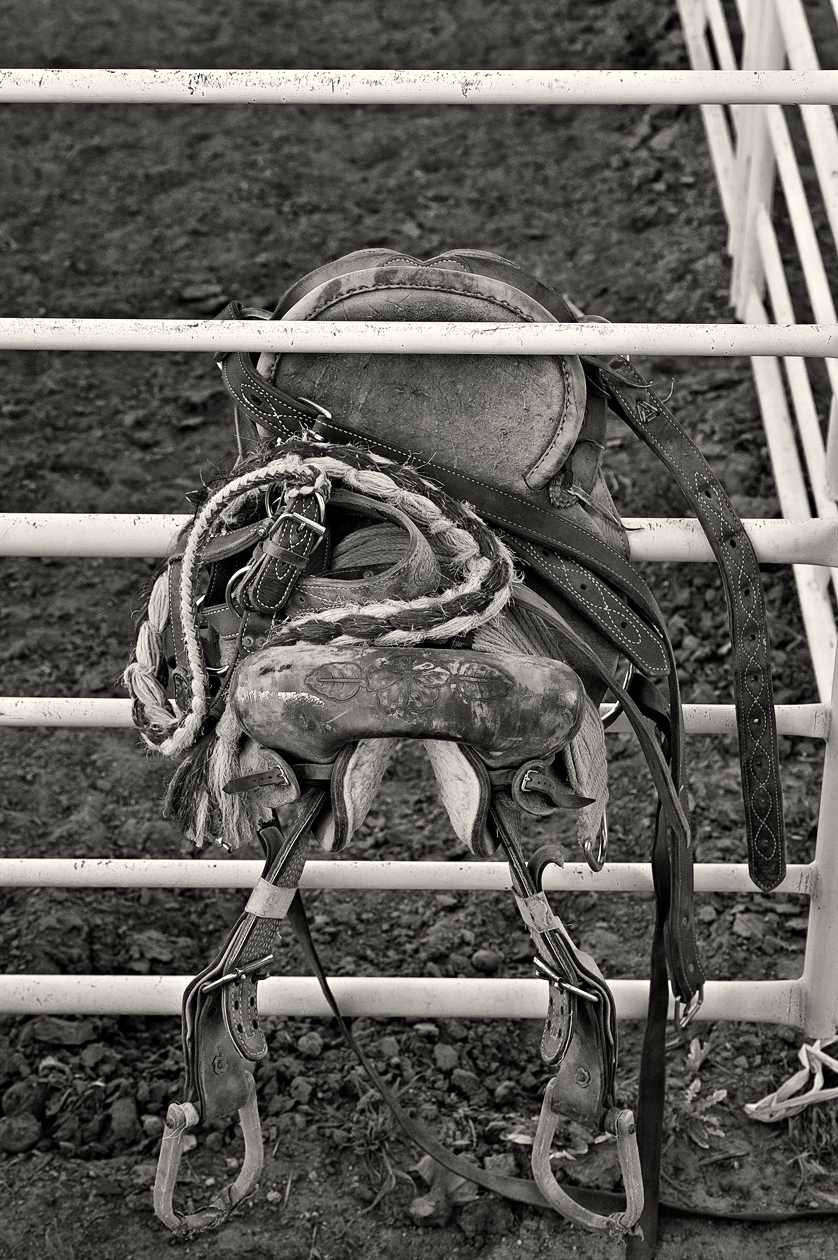 Sitting on the Fence