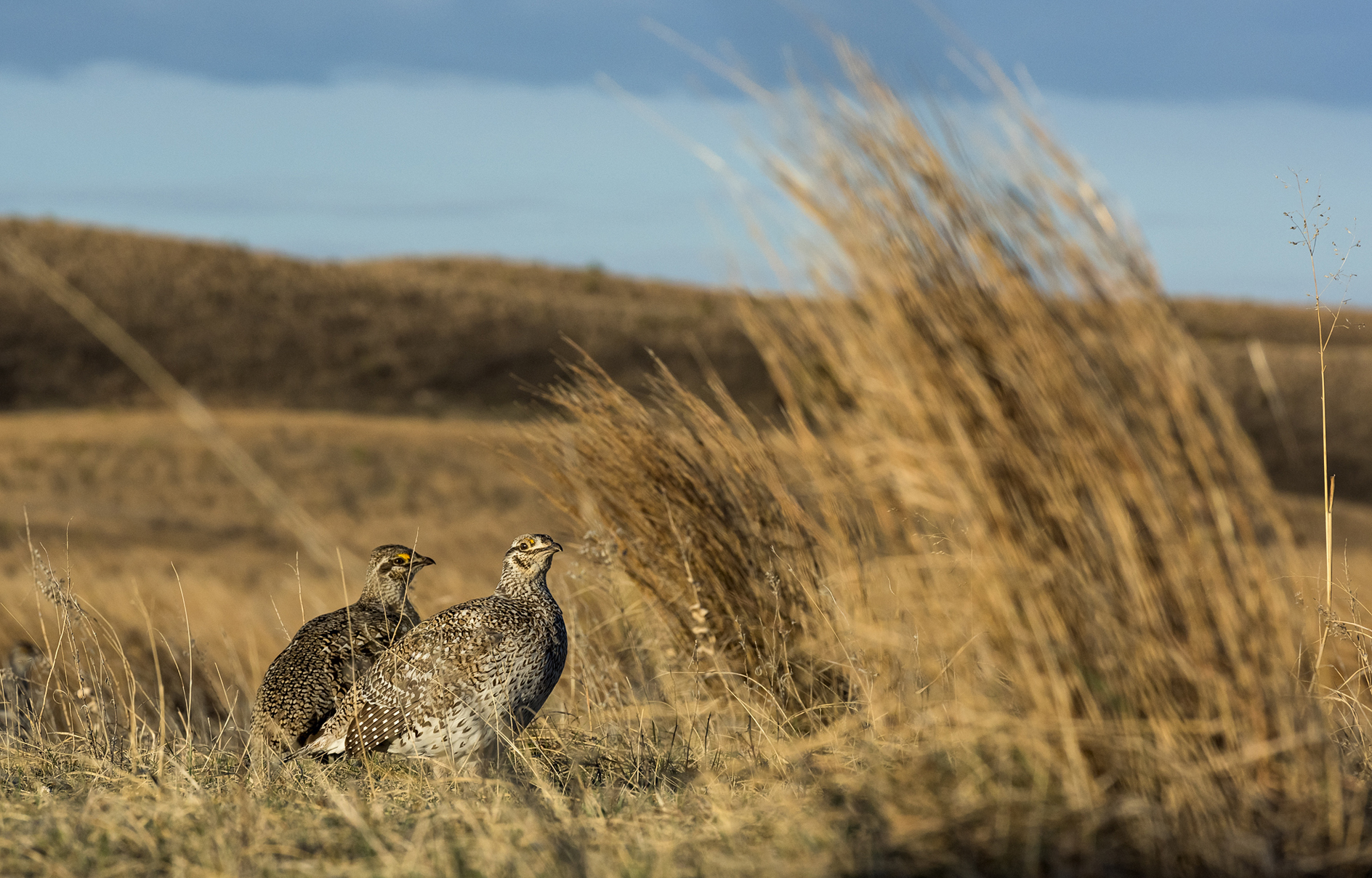 Sitting on the Front Porch