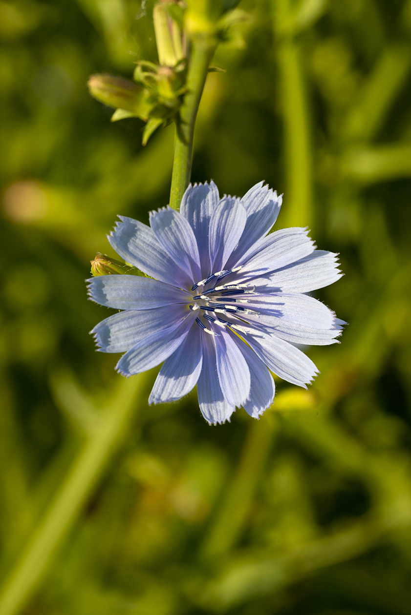 Sketchy Background II