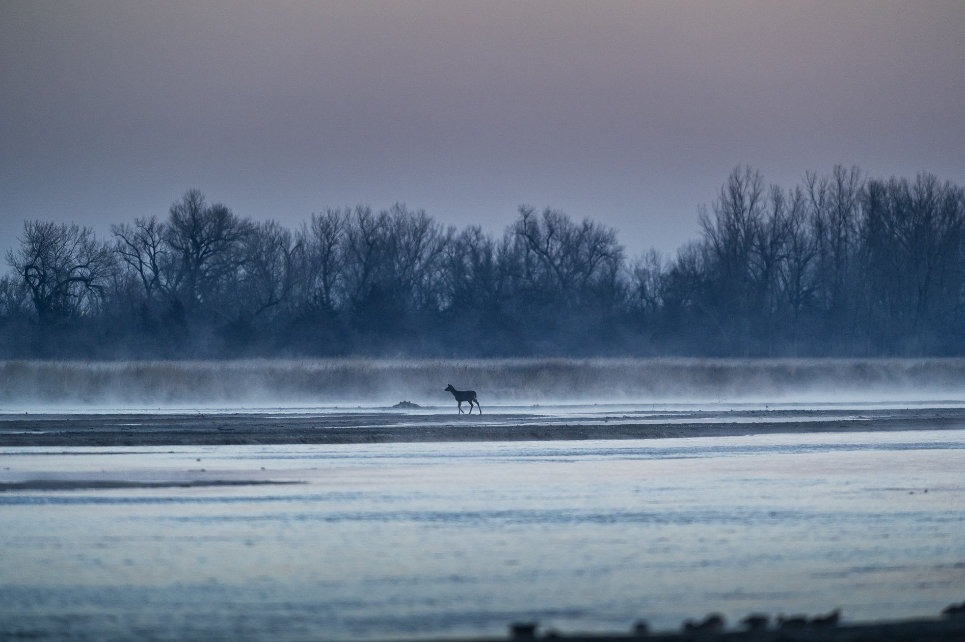 Slipping through the Dawn