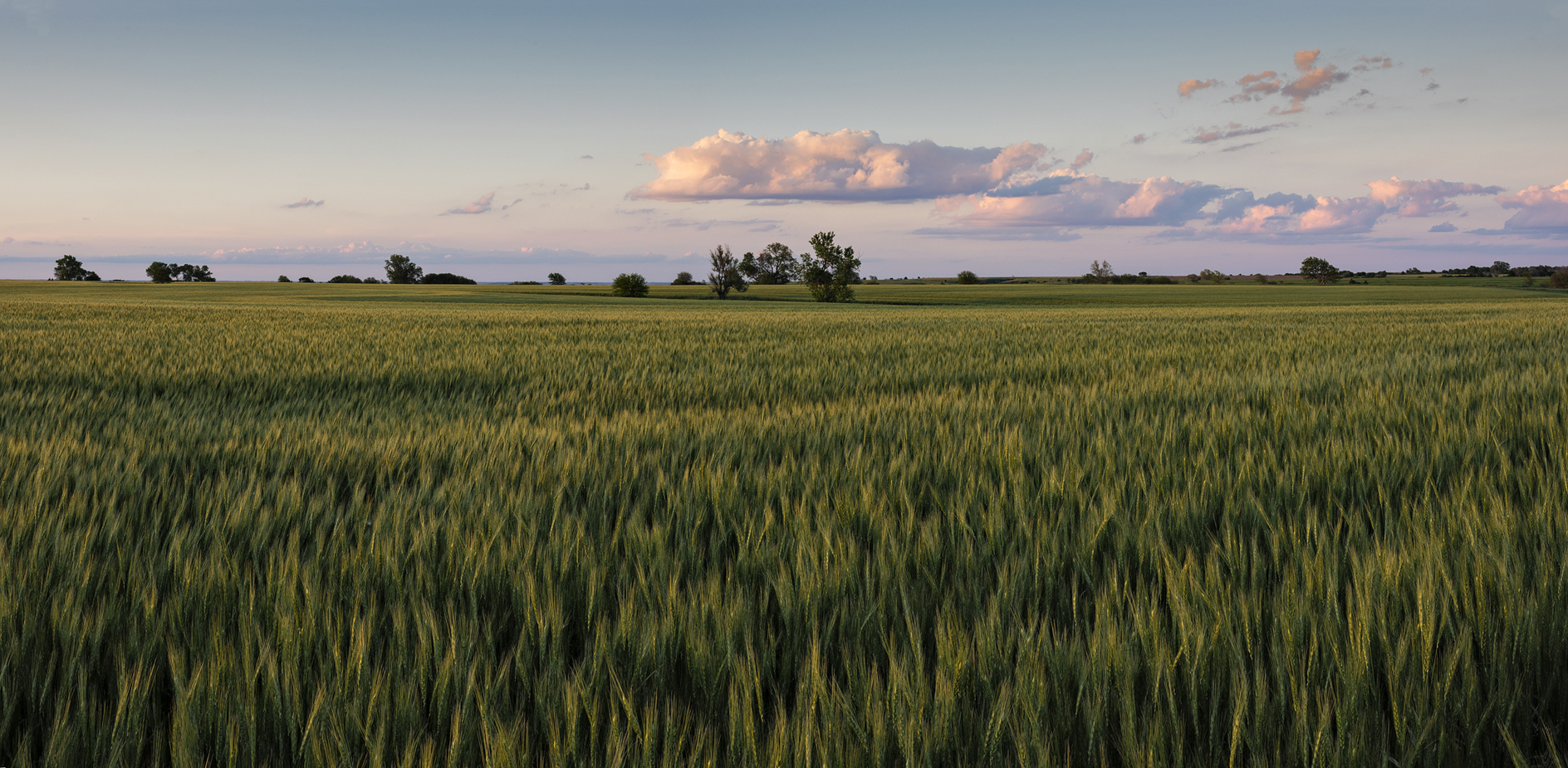 Smith County Evening