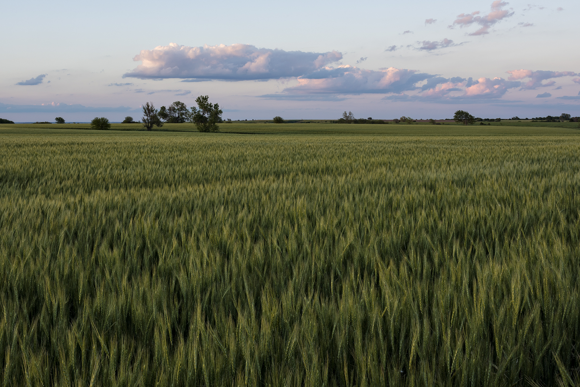 Smith County Evening II