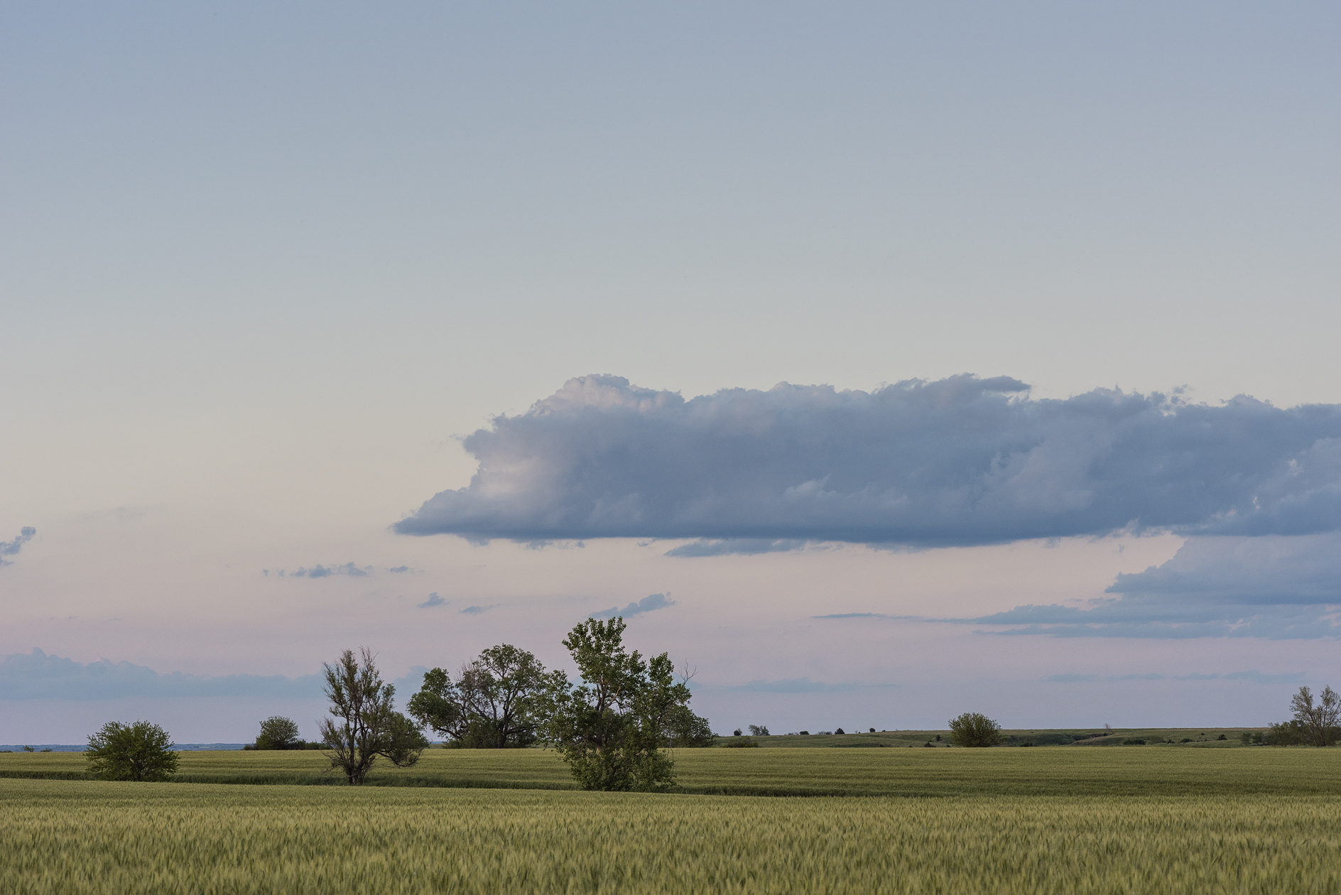 Smith County Evening III