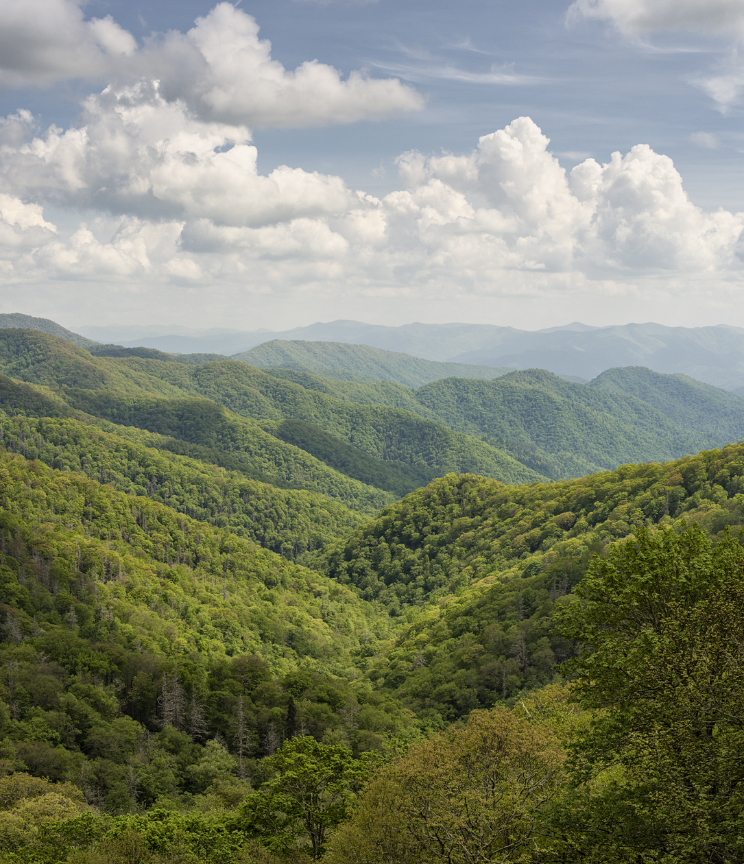 Smoky Mountain Afternoon