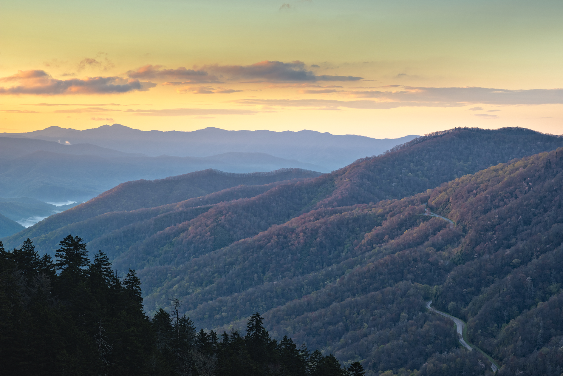 Smoky Mountain Morning