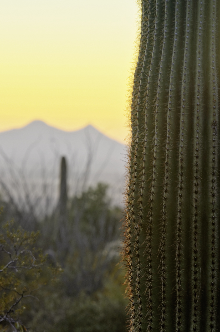 Softening the Picture