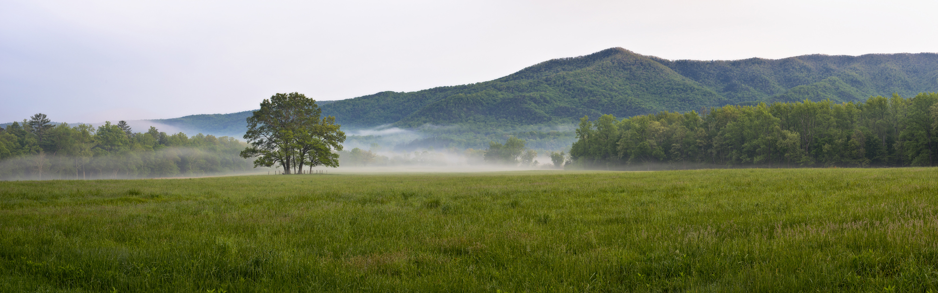 Softly Comes the Day