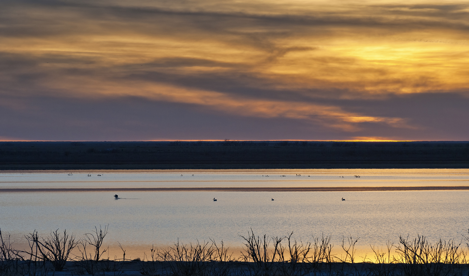 Softly Comes the Evening