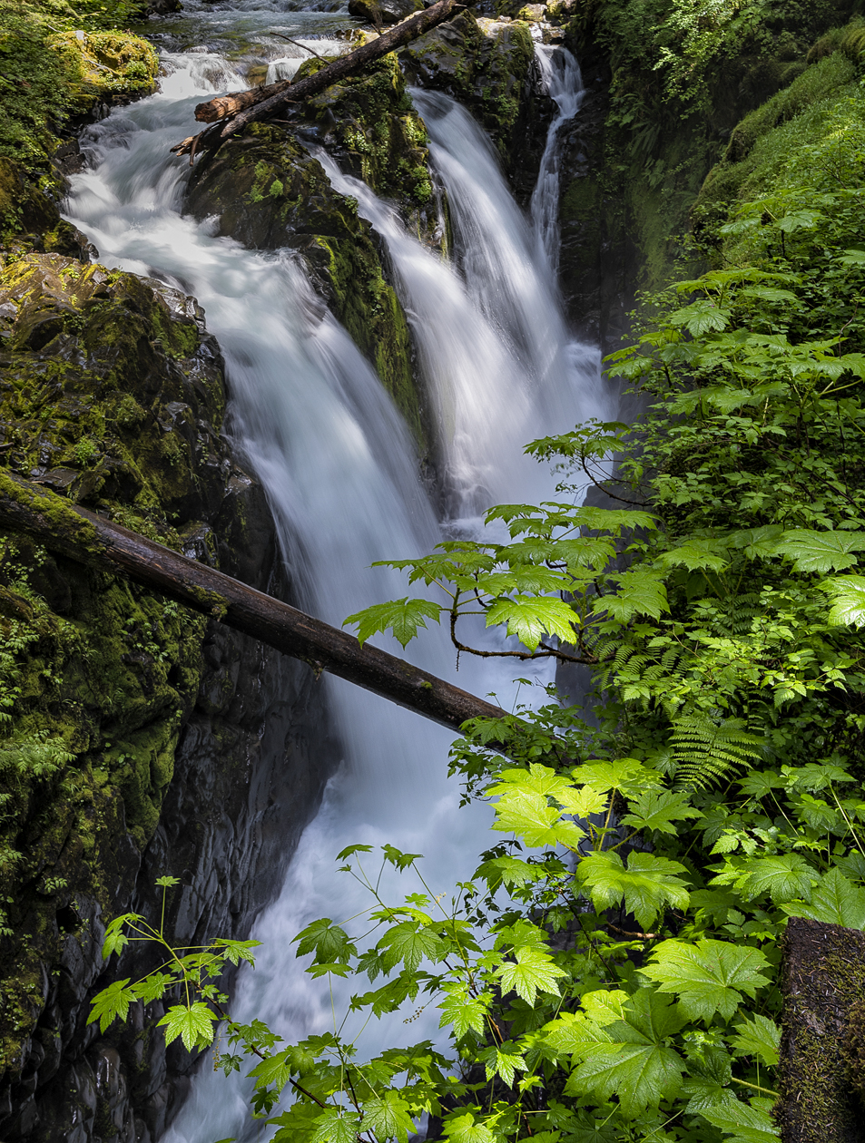 Sol Duc Falls