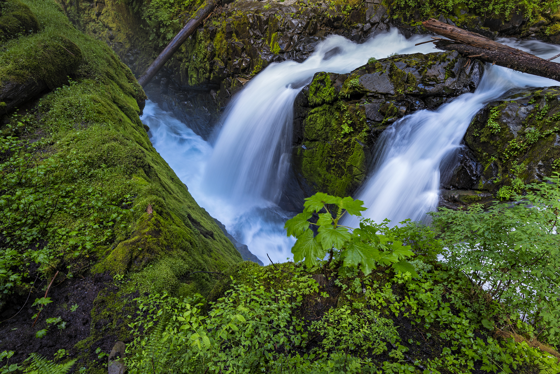 Sol Duc Falls II