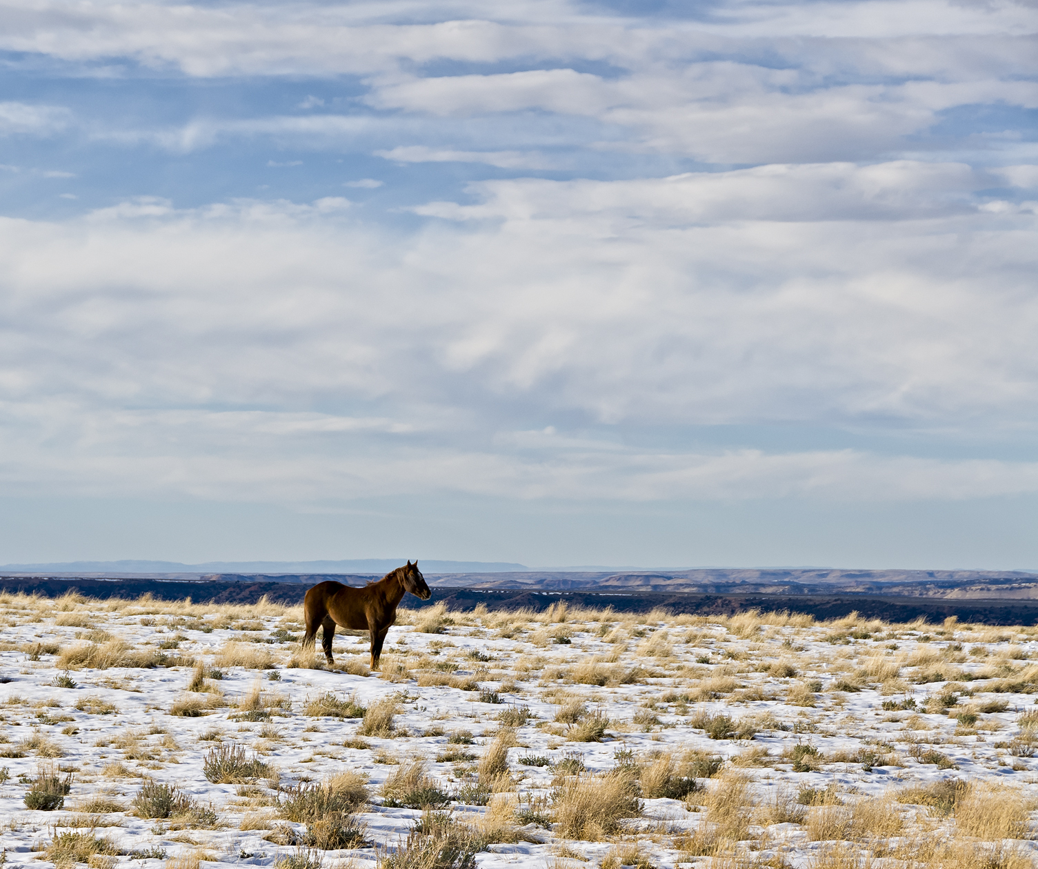 Solitary Confinement